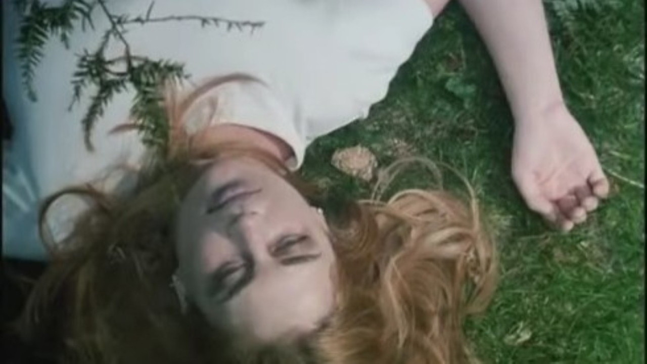 Strawberry Spring Background