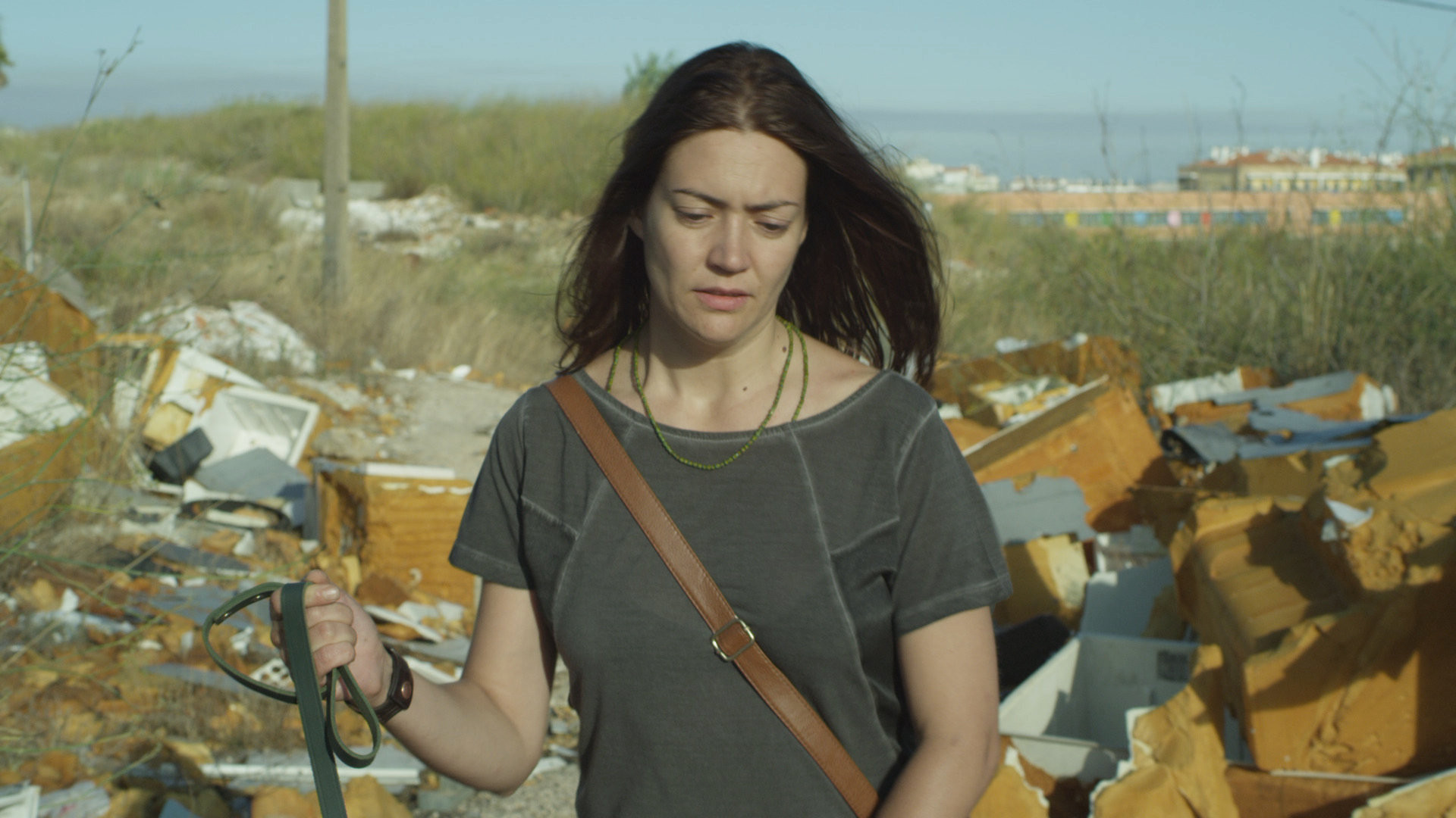 The City and The Sun Background