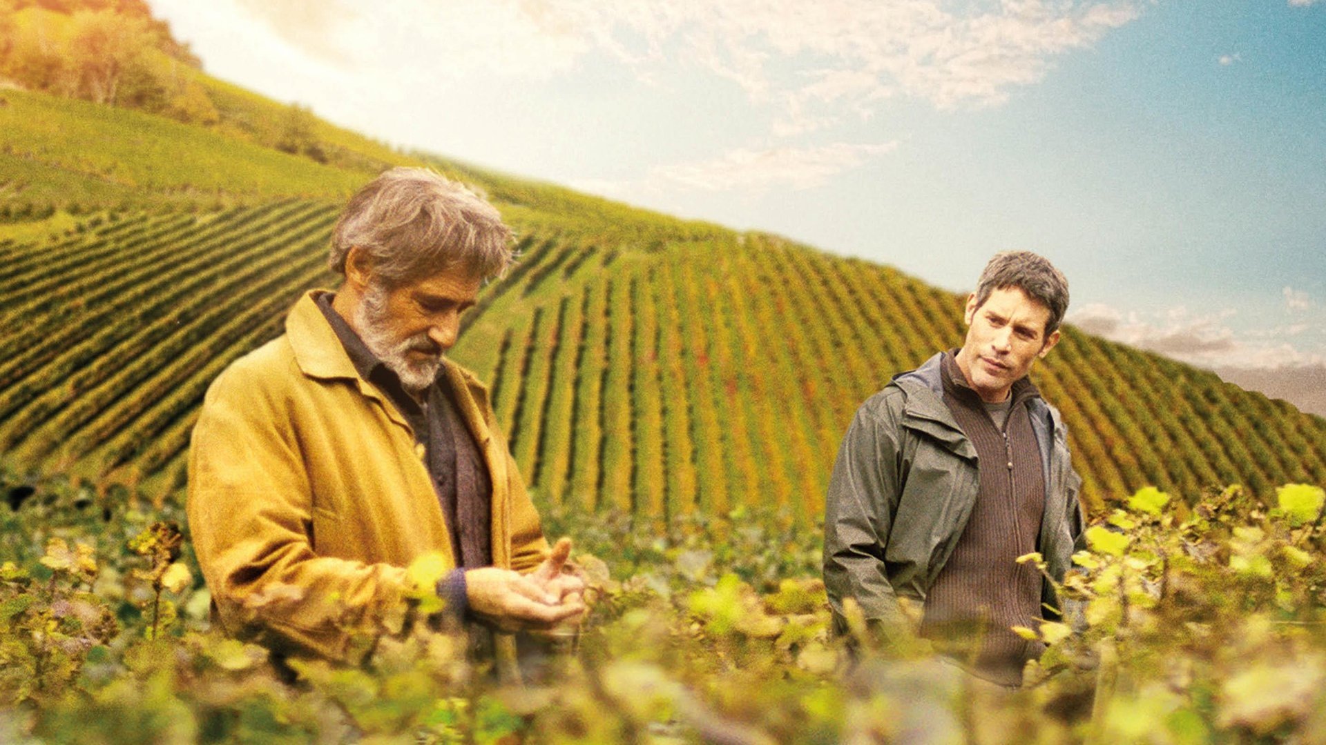 First Growth Background