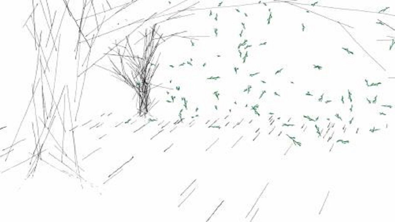 The Train, The Forest Background