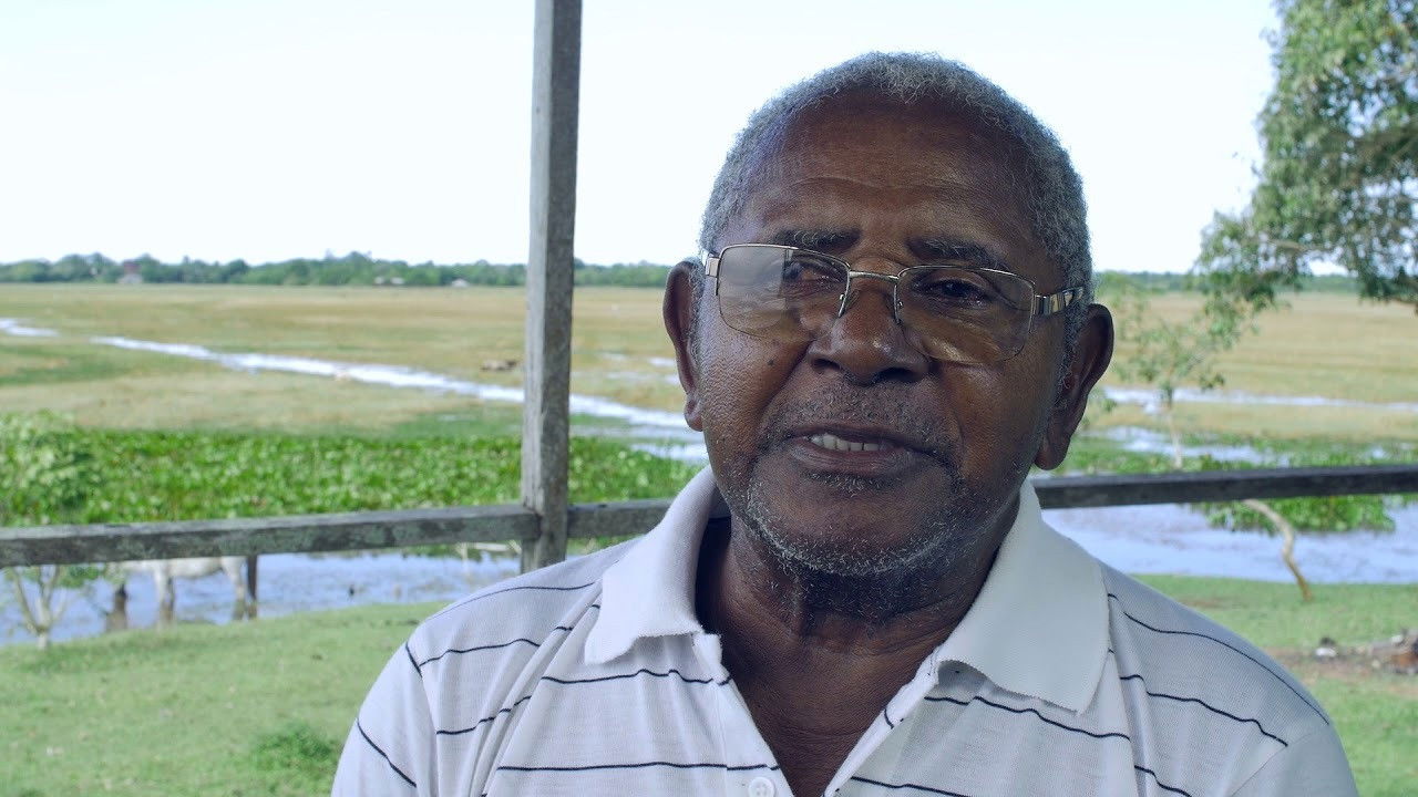 Encantados do Cri-ú Background