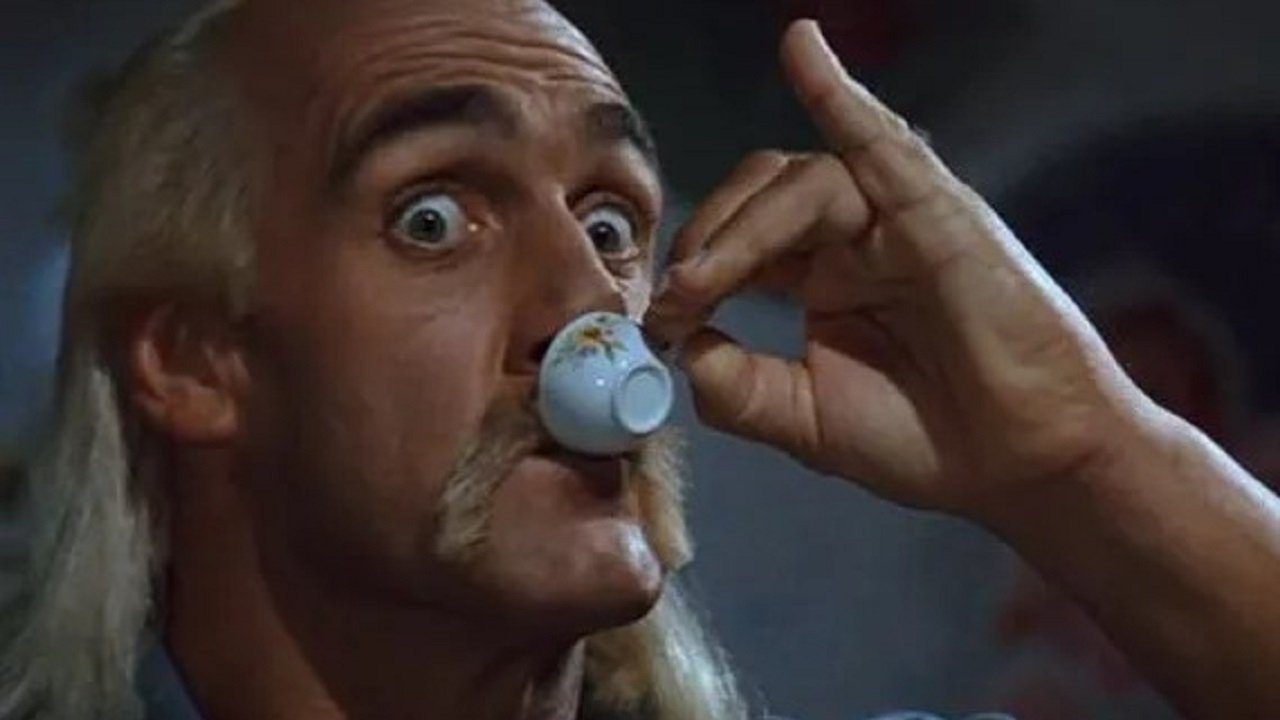 Mr. Nanny Background