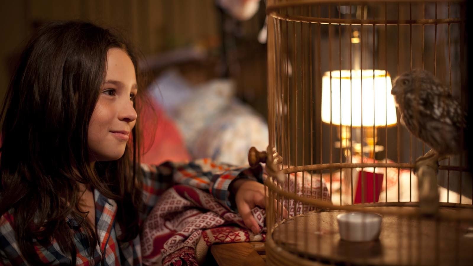 Tomorrow and Thereafter Background