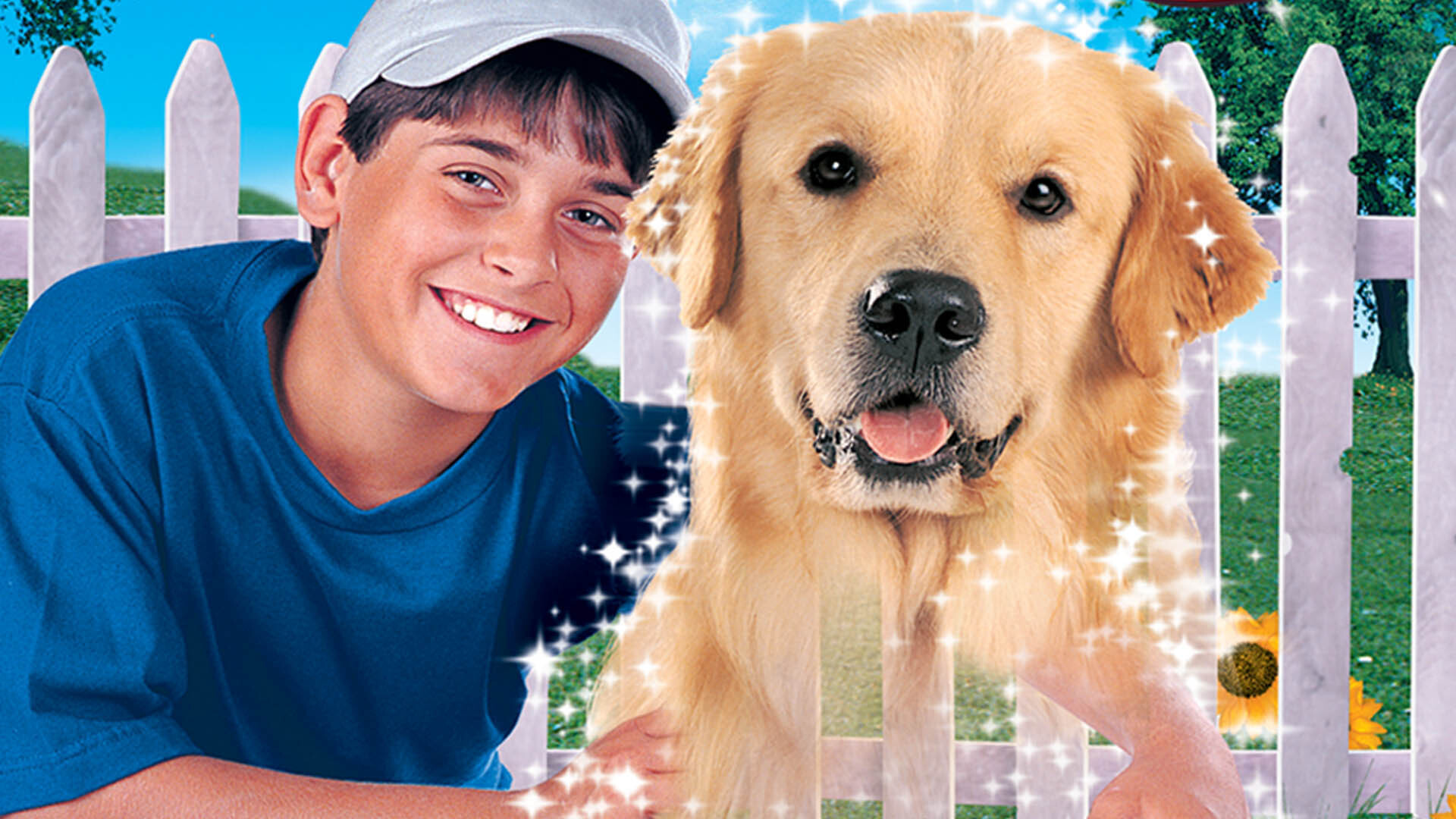 My Ghost Dog Background