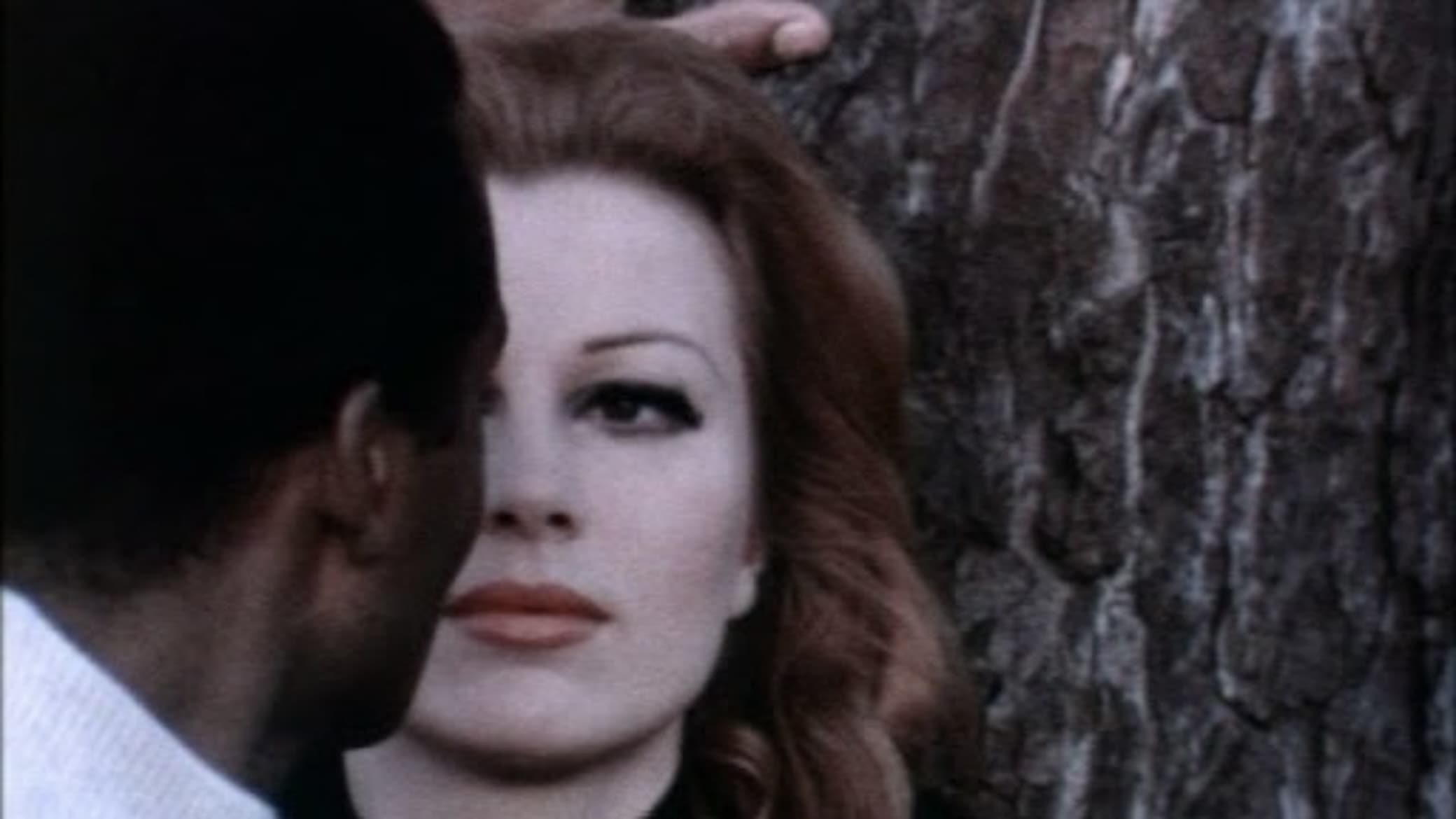 Attraction Background