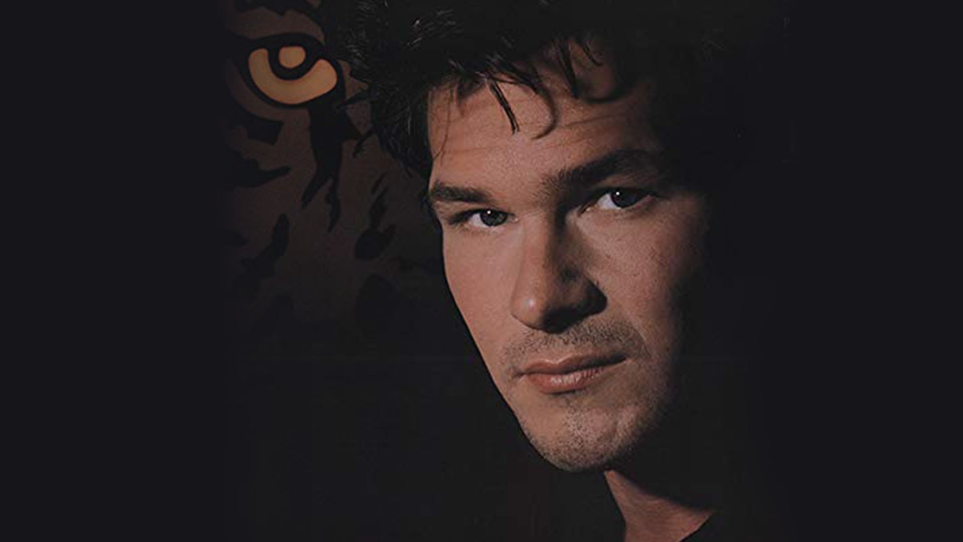 Tiger Warsaw Background