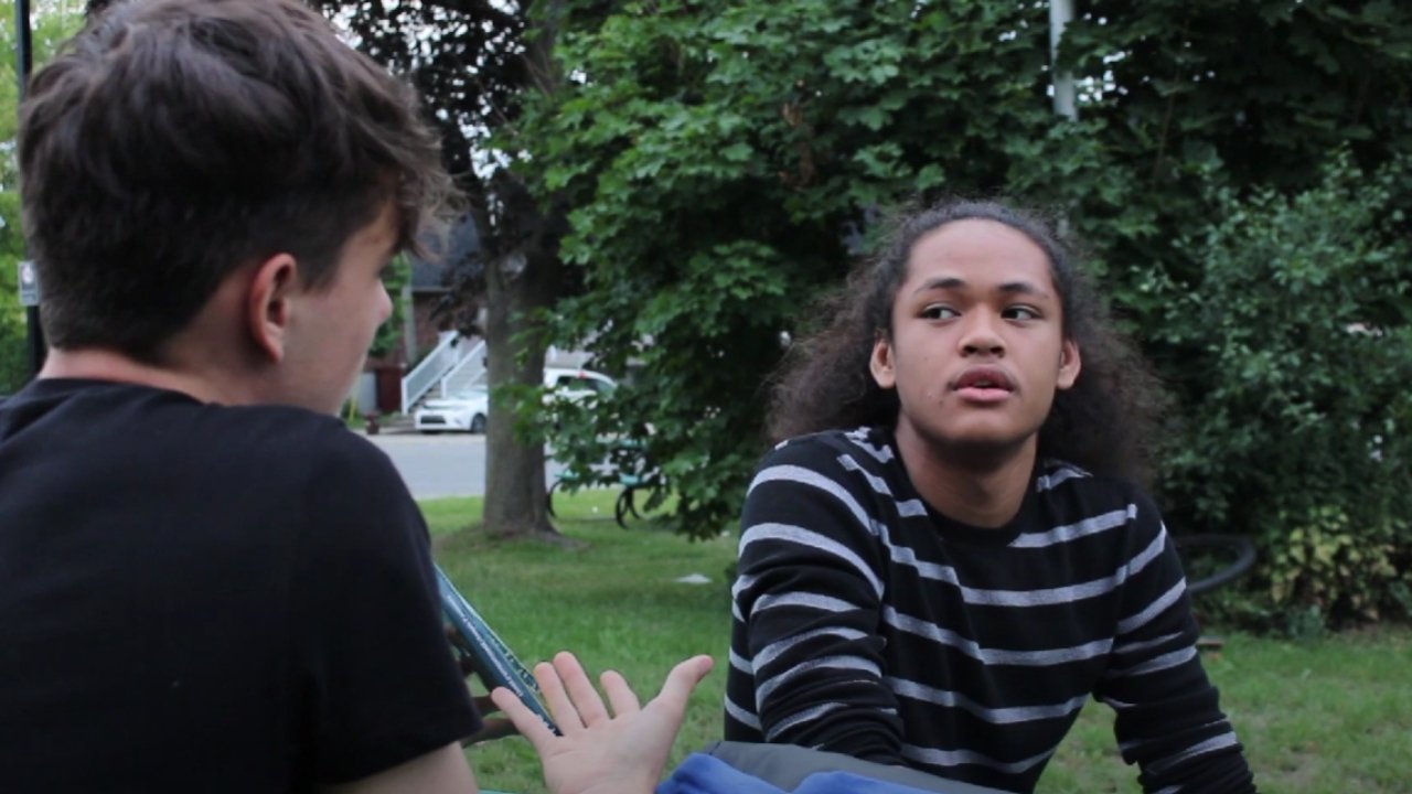 Stalker 2: Dandelion Background