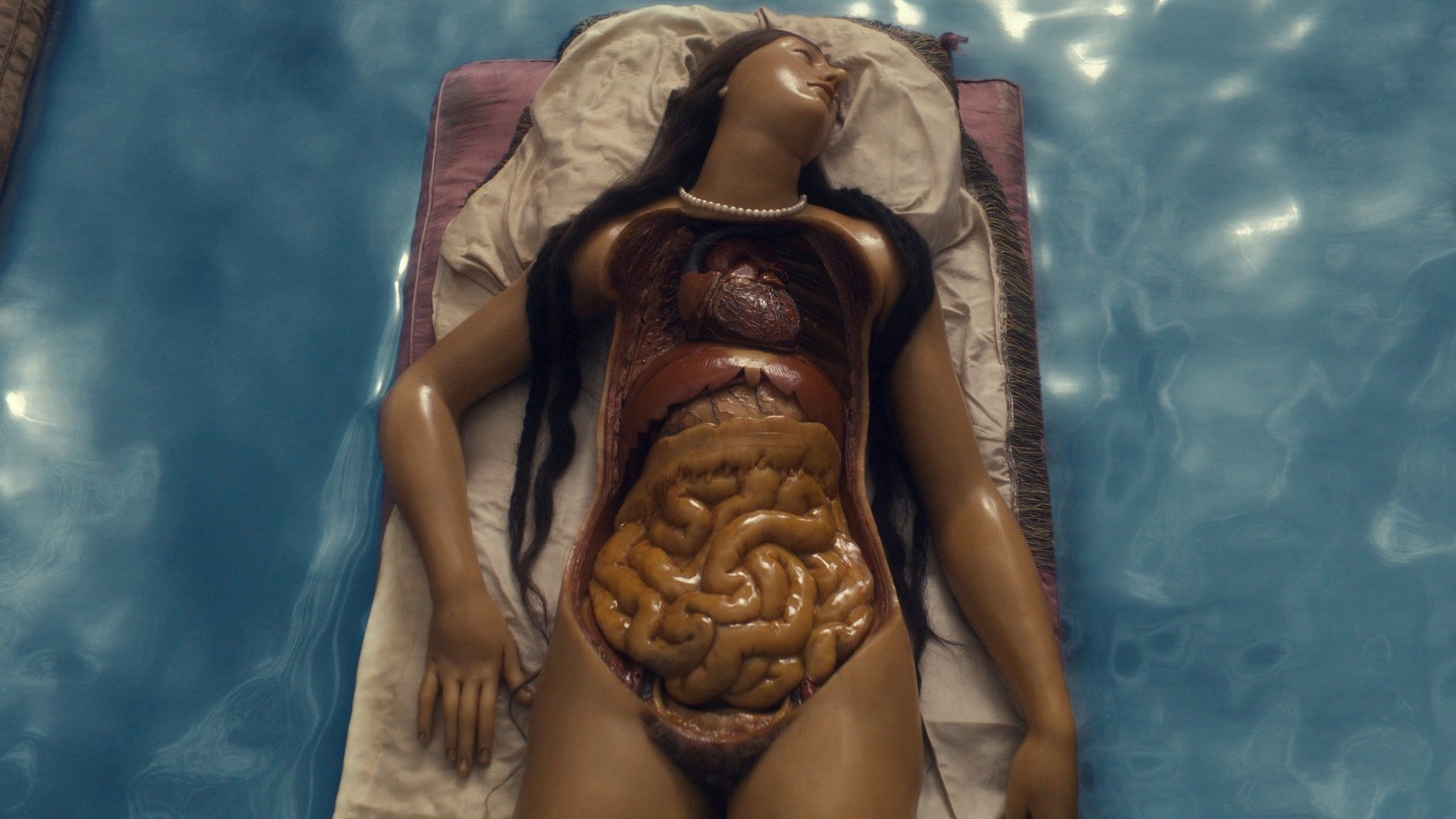 Four Unloved Women, Adrift on a Purposeless Sea, Experience the Ecstasy of Dissection Background