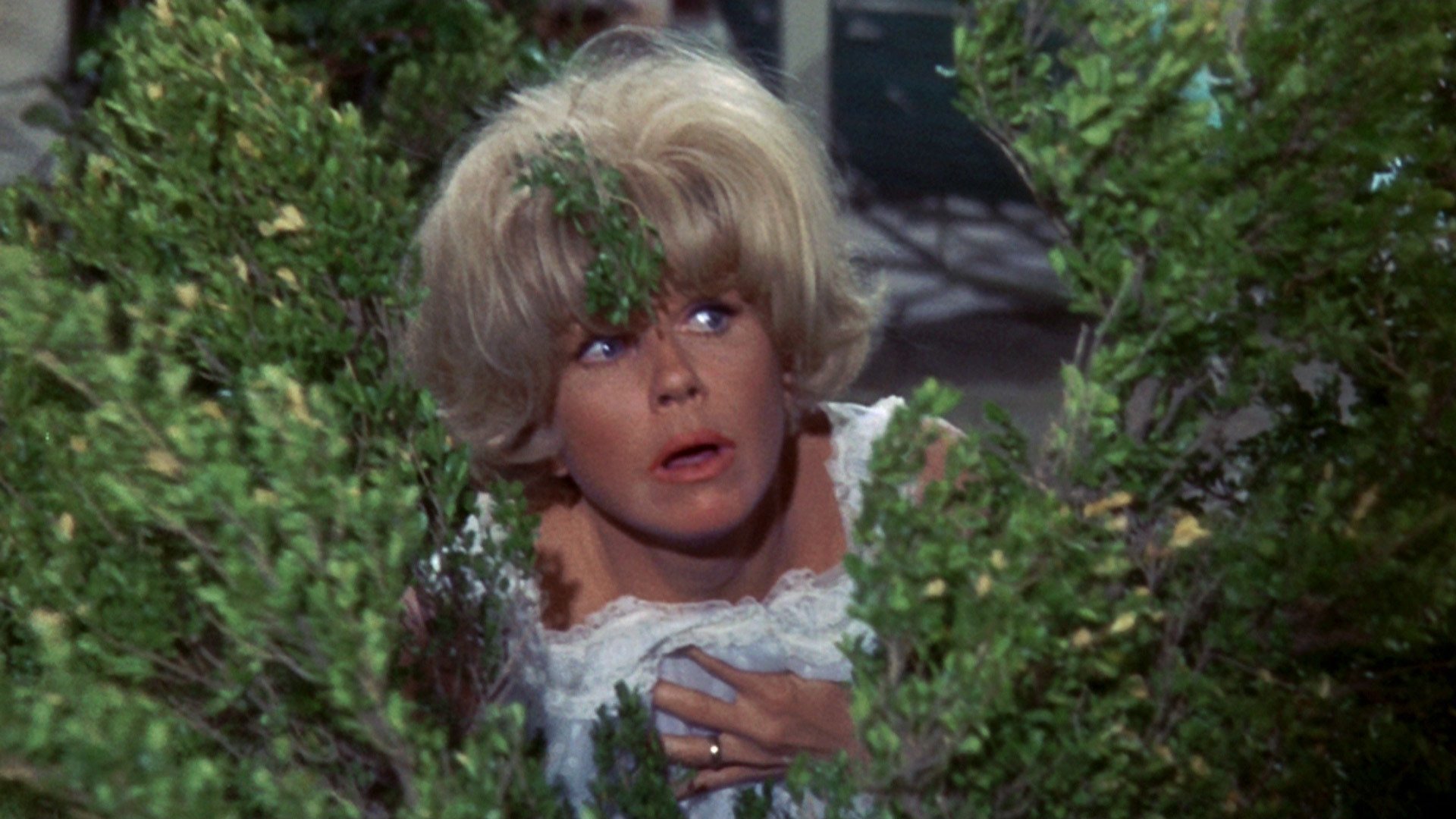 Send Me No Flowers Background