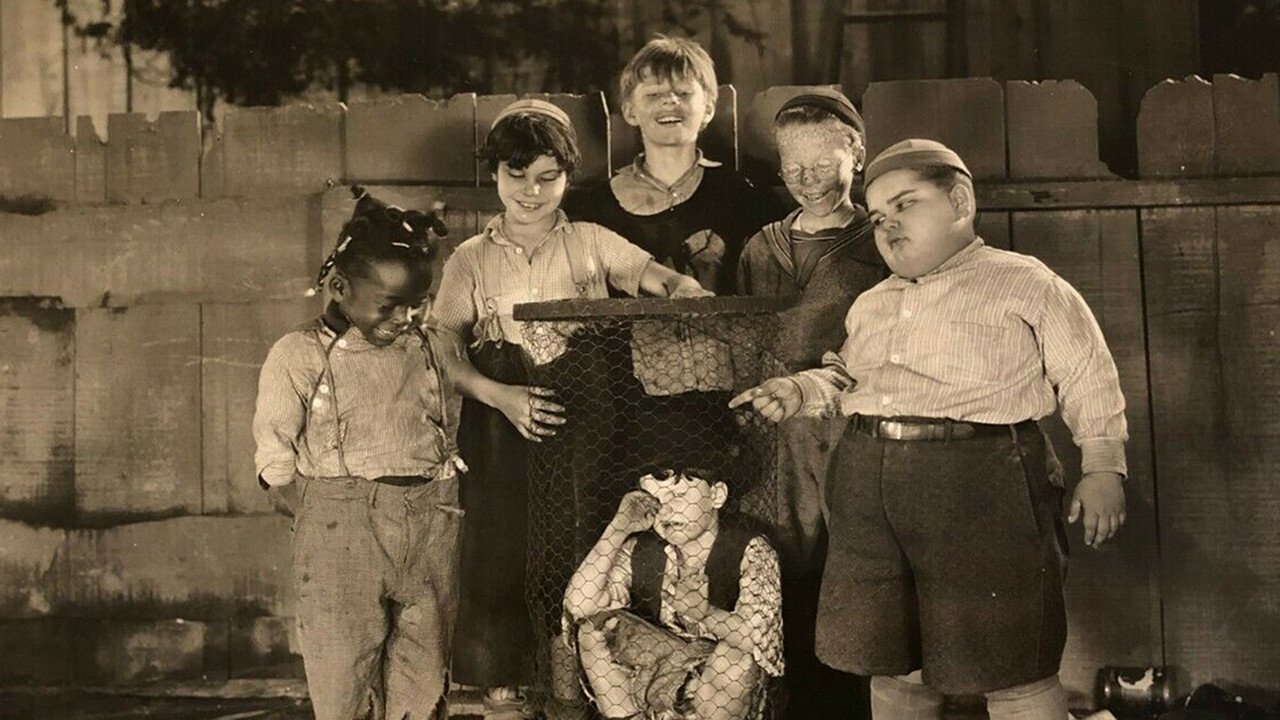 Chicken Feed Background