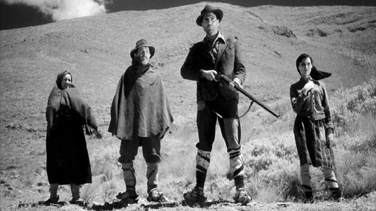 Under the Olive Tree Background