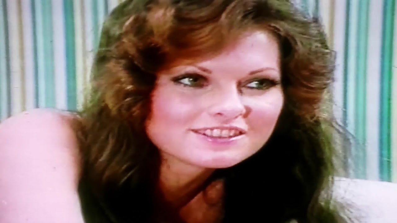 The Seniors Background