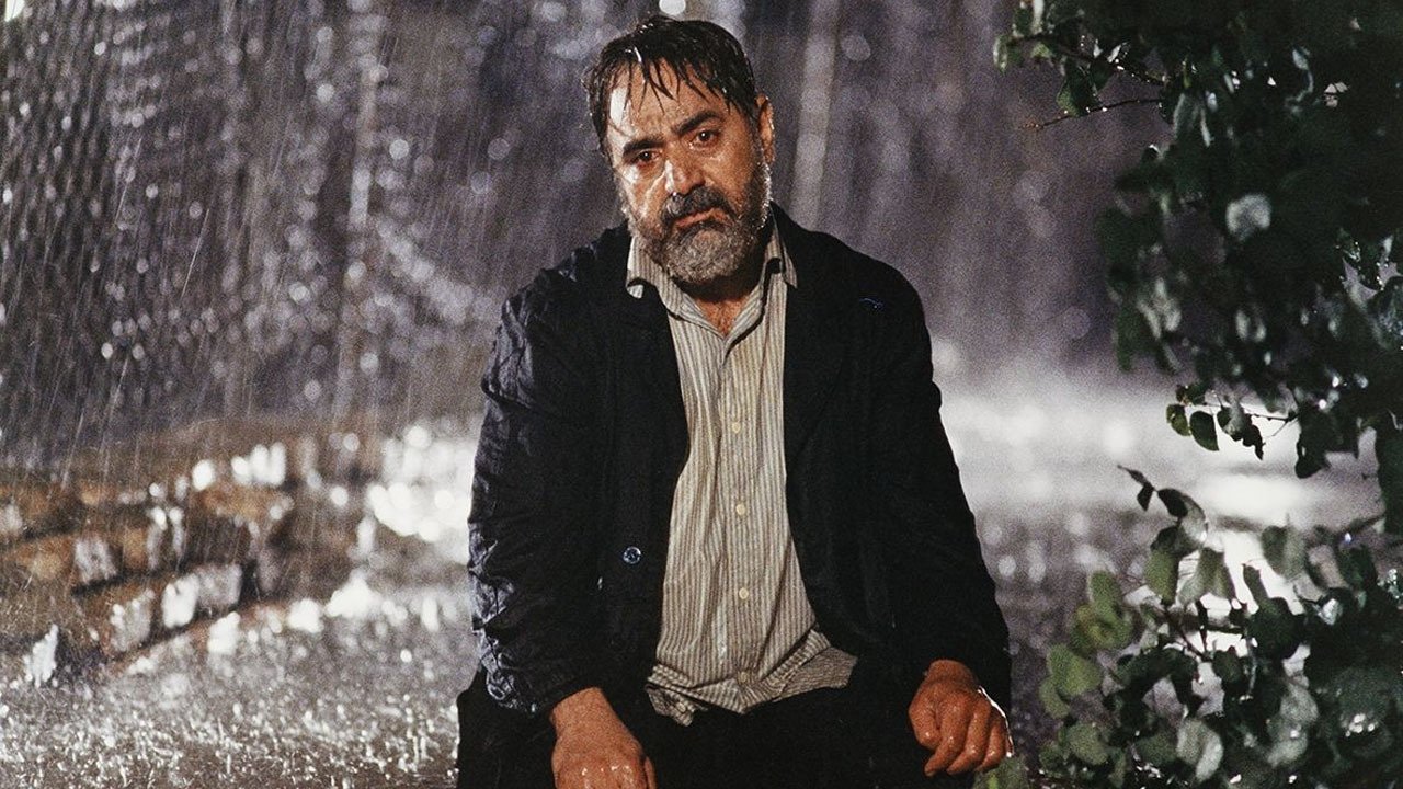 The Willow Tree Background