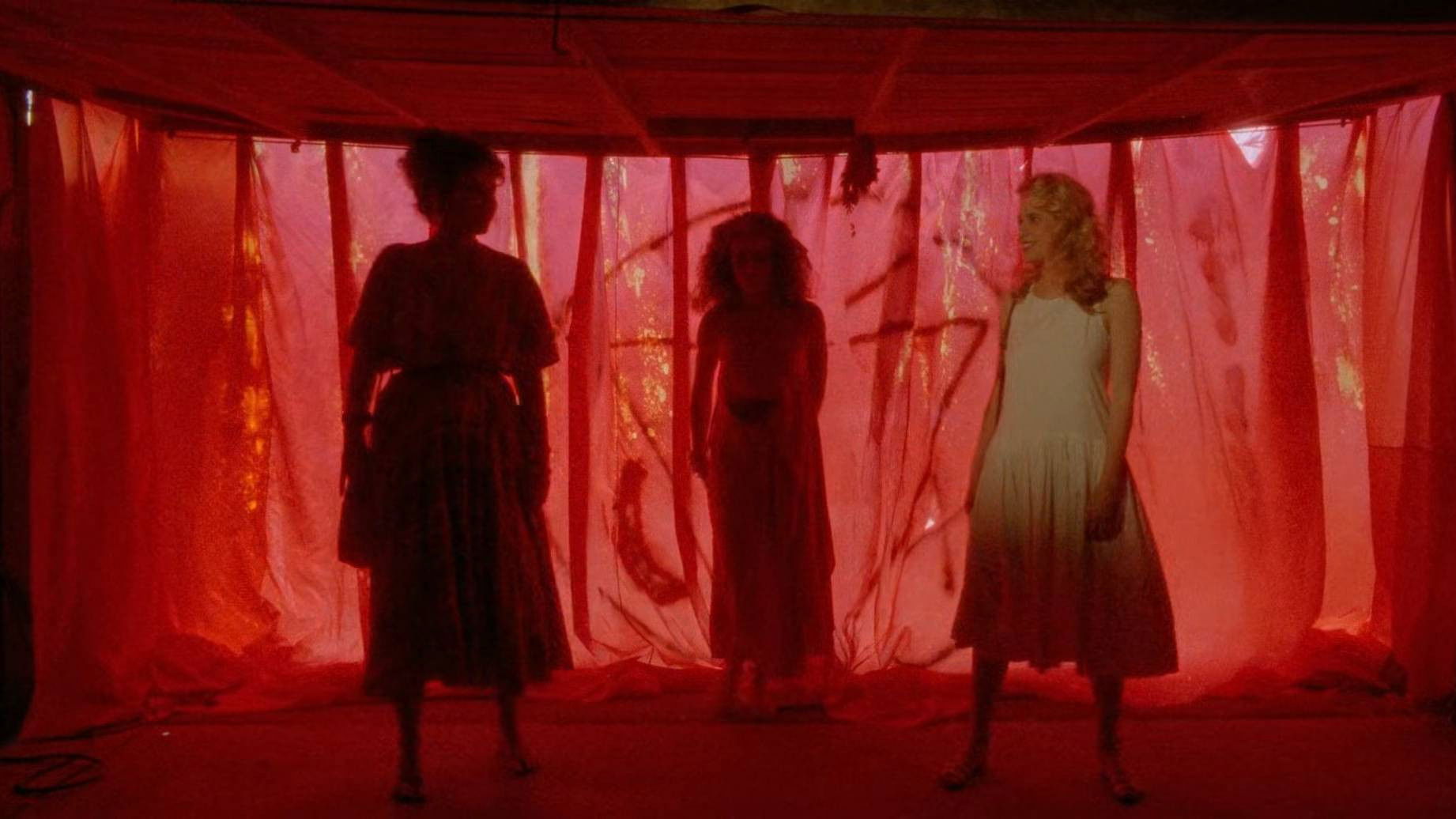 Necromancer Background