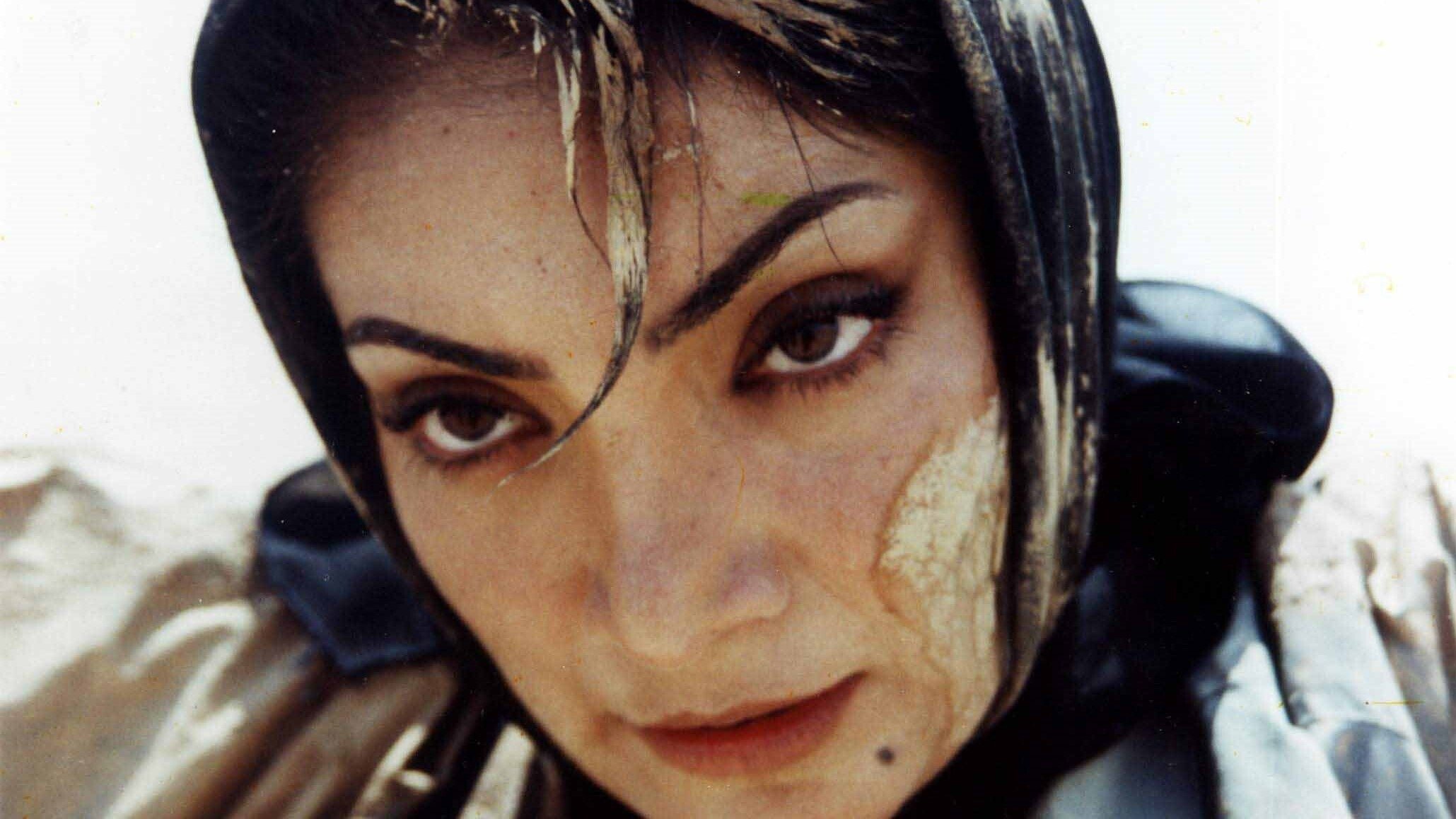 Dead Heat Under the Shrubs Background