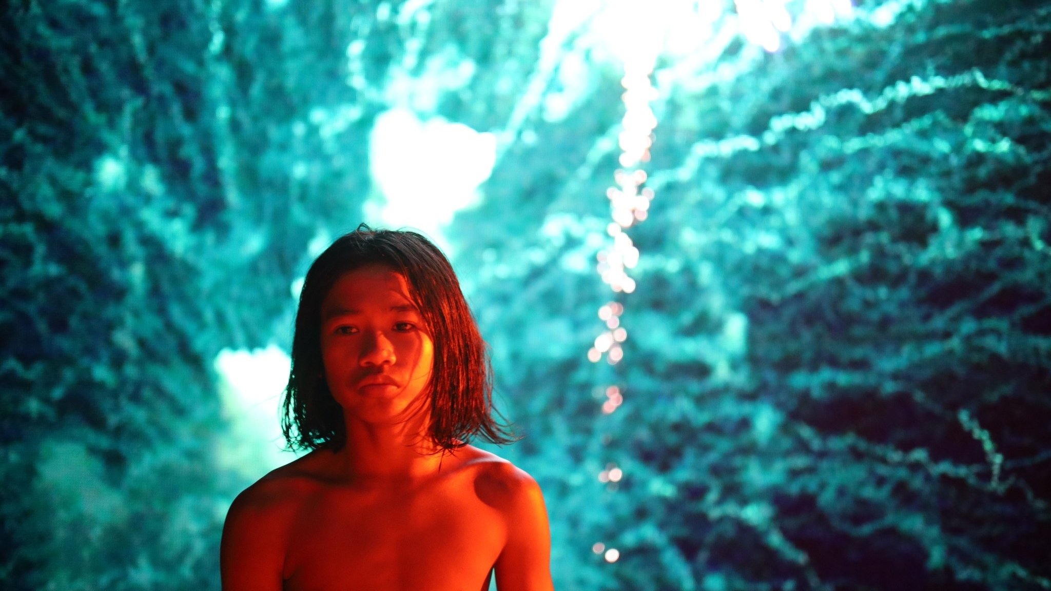 The Garden of Earthly Delights Background