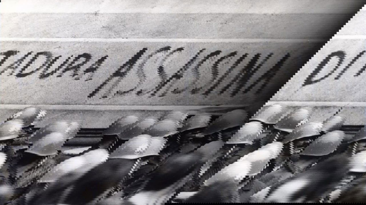 15 filhos Background