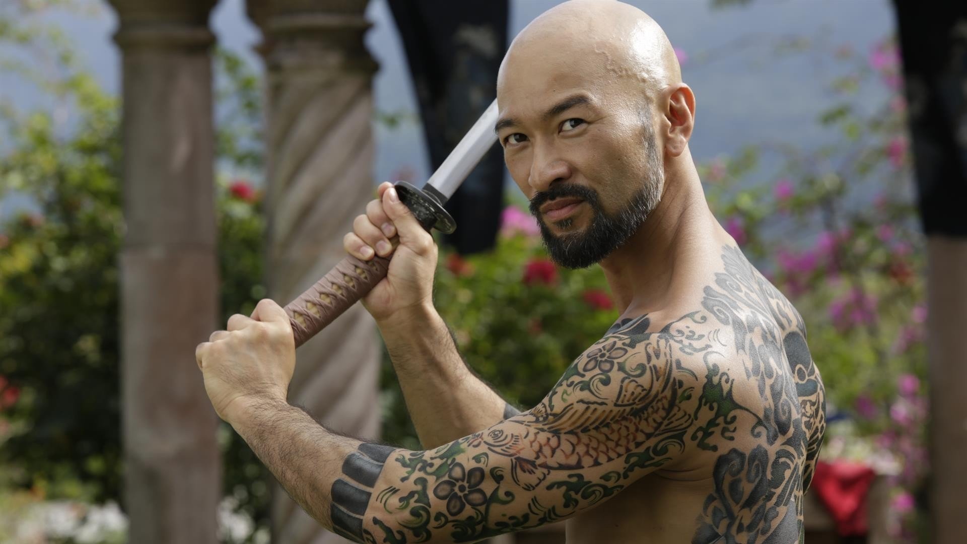 Falcon Rising Background