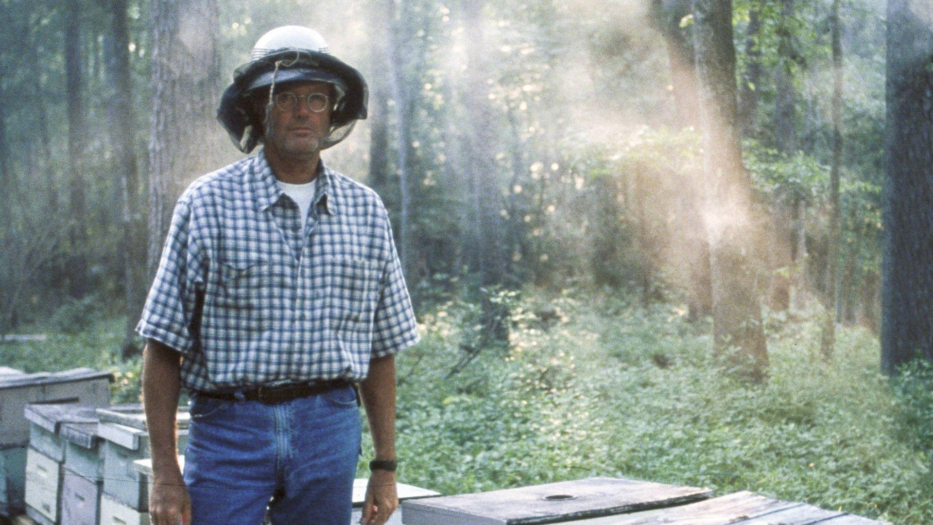 Ulee's Gold Background