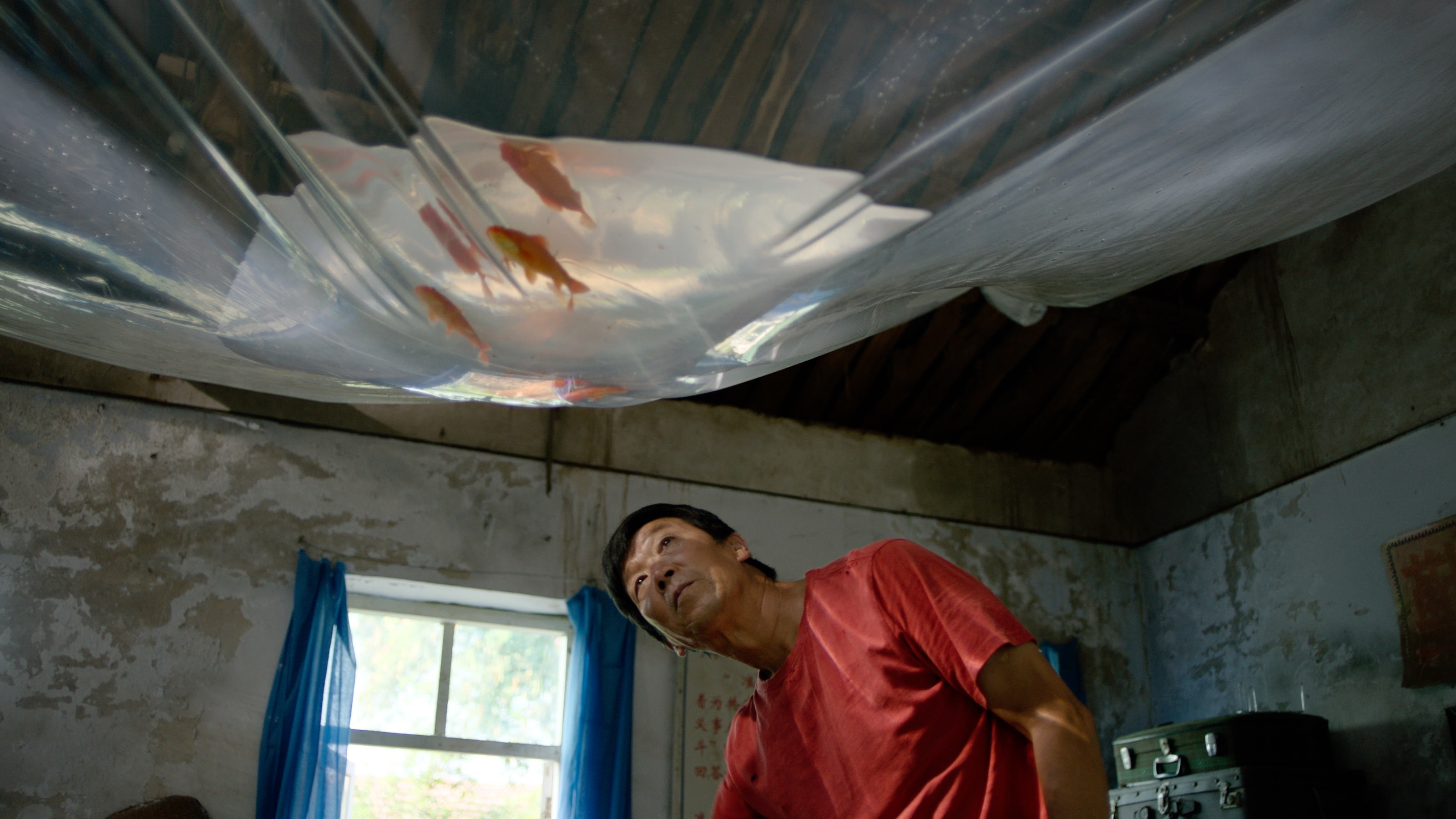 Summer Detective Background