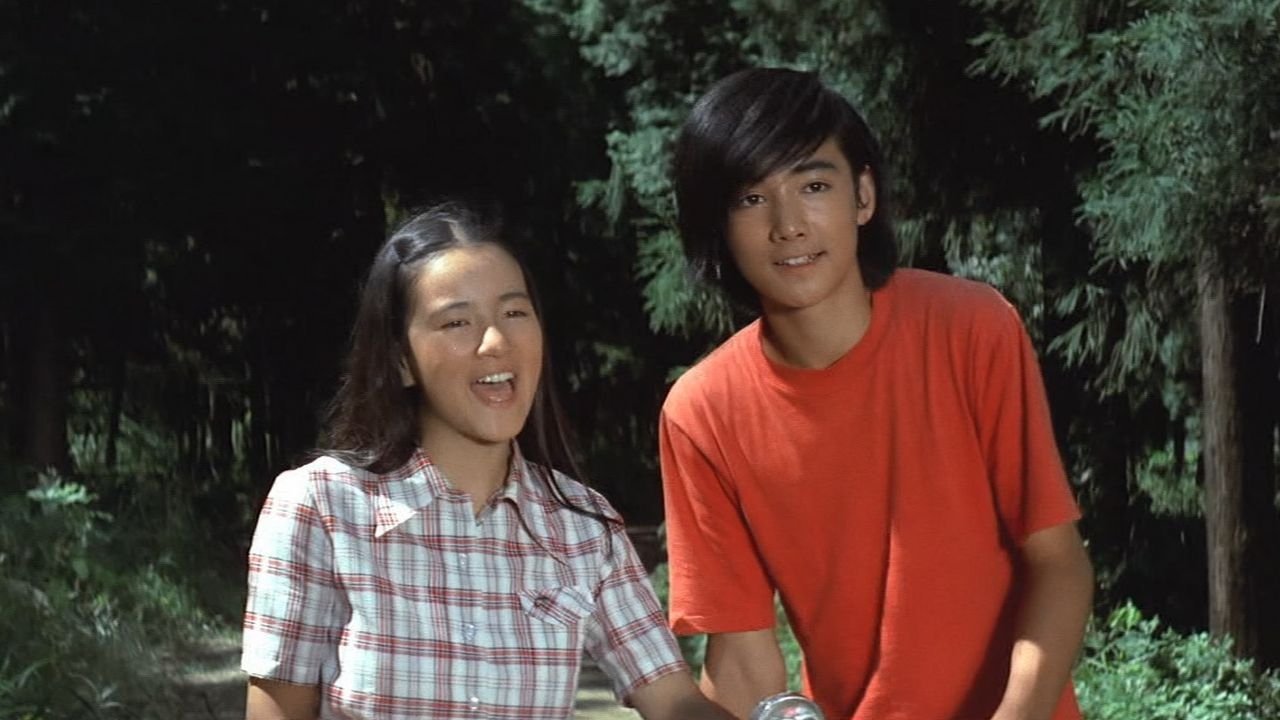 Love Is in the Green Wind Background