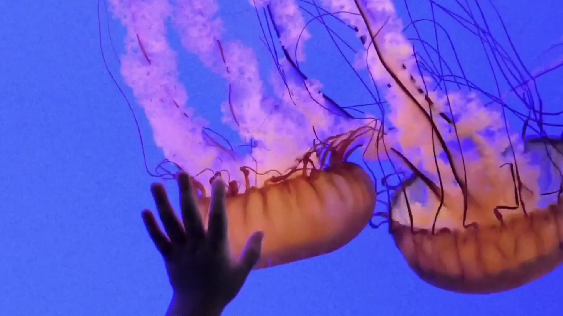 What We Leave Behind Background