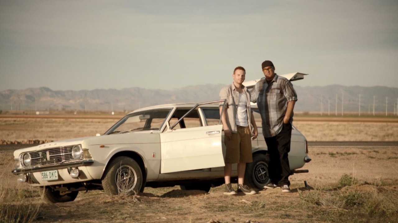 Sheep Impact Background