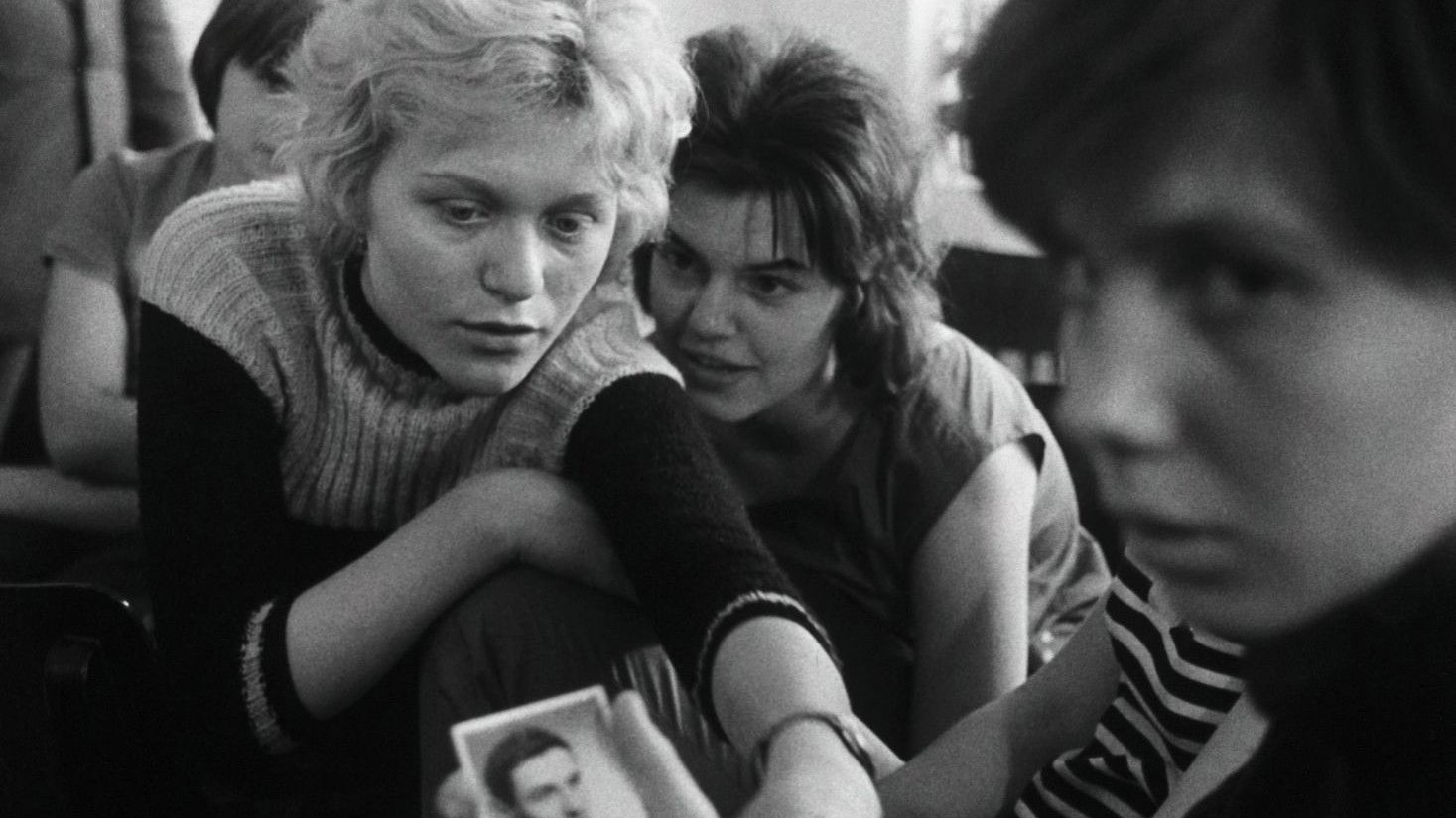 A Bagful of Fleas Background