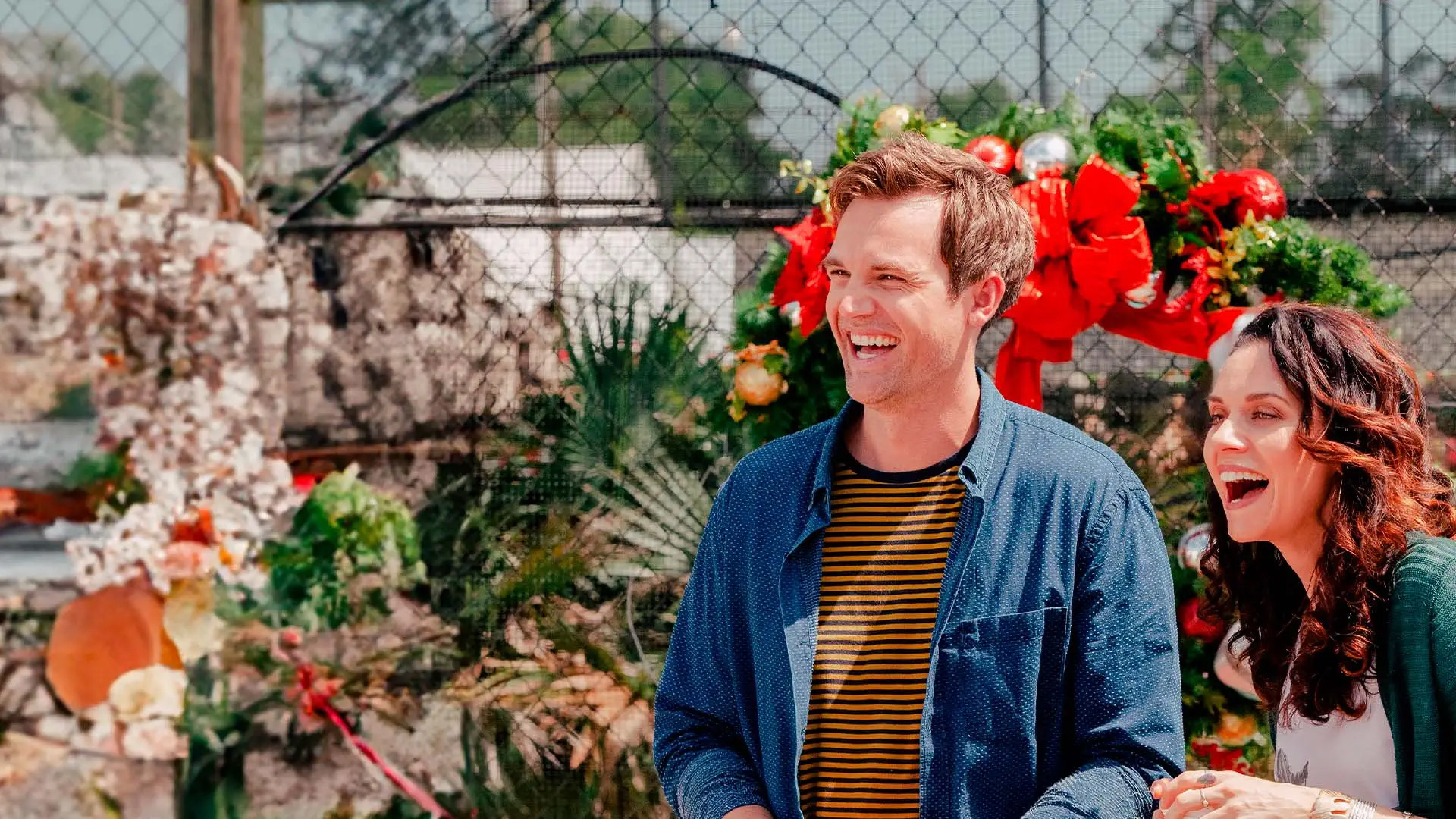 Holiday Switch Background