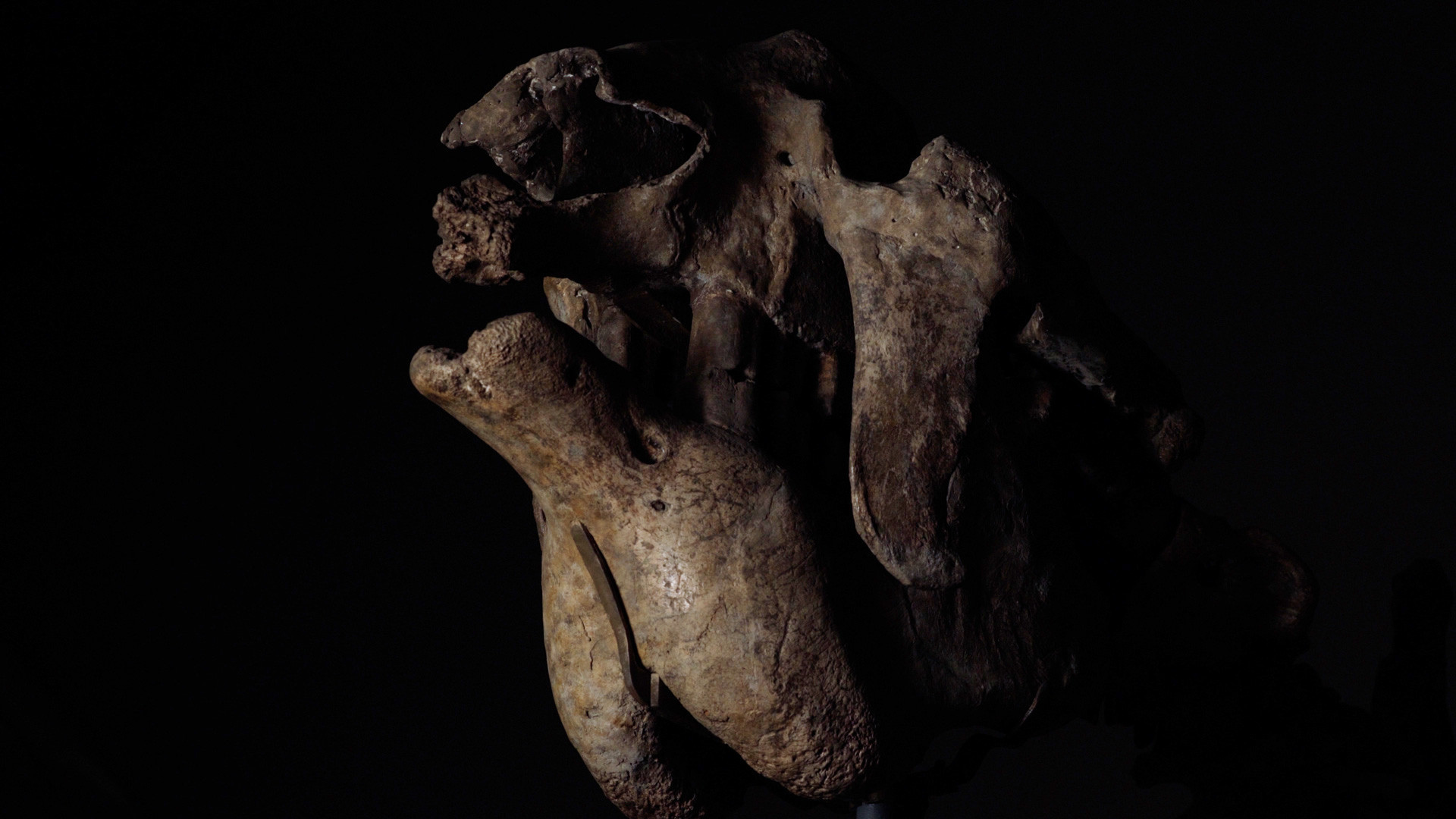 Tesoros y Fantasmas de la Ciencia Española Background