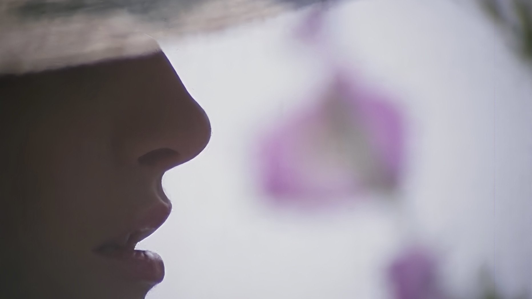 Aberraciones sexuales de una mujer casada Background