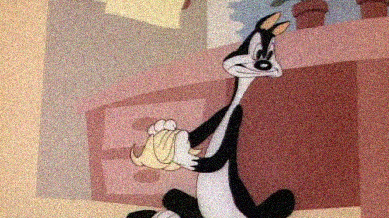 Fin'n Catty Background