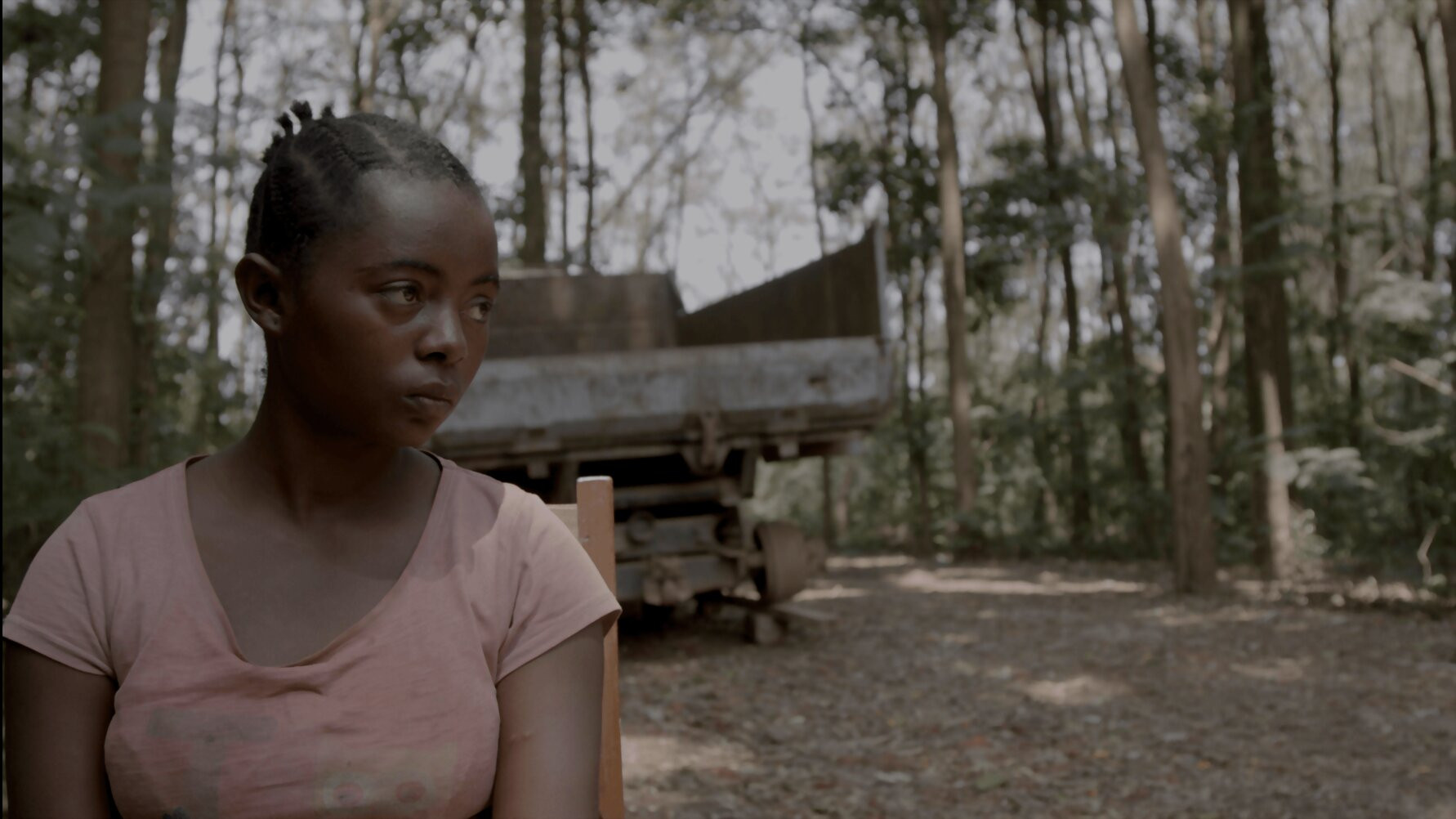 Semillas de Kivu Background