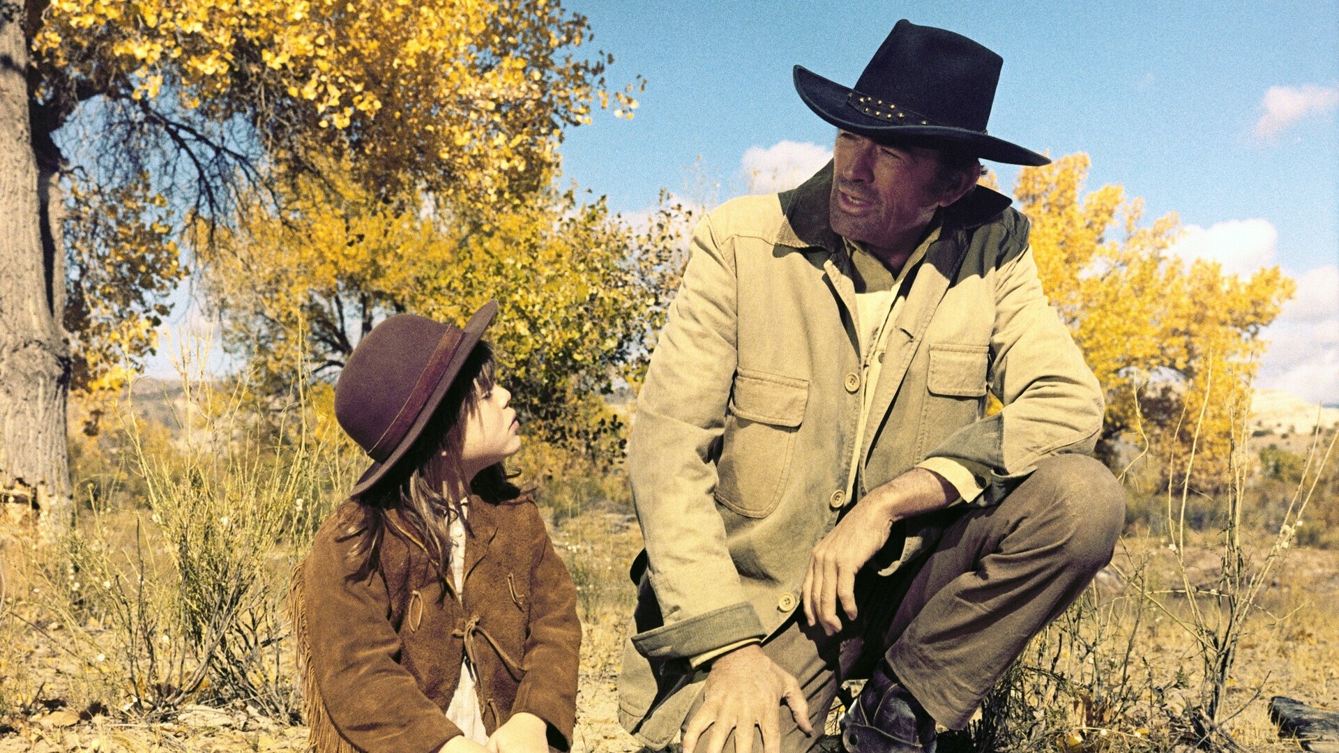 Shoot Out Background