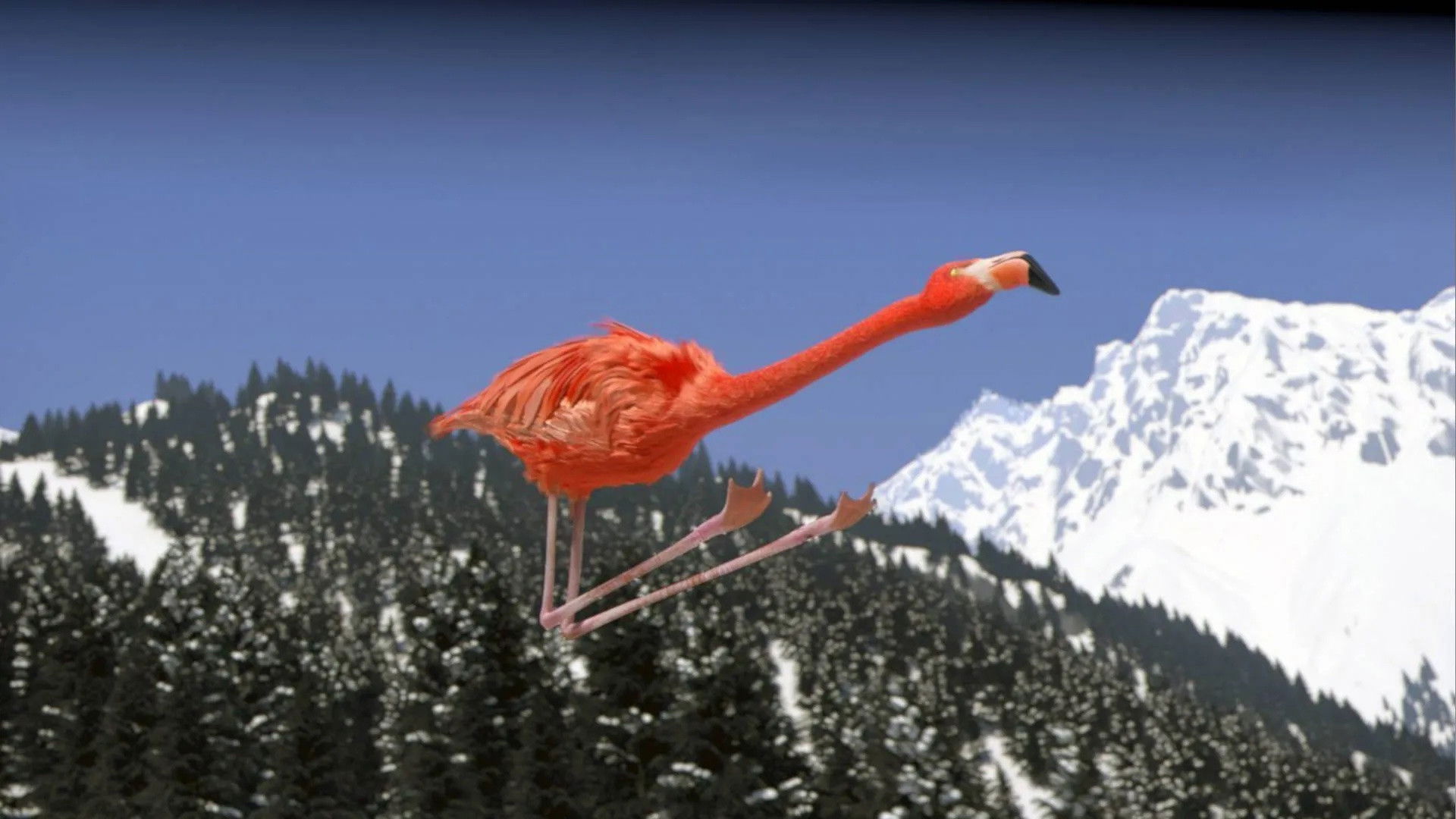 Athleticus Background