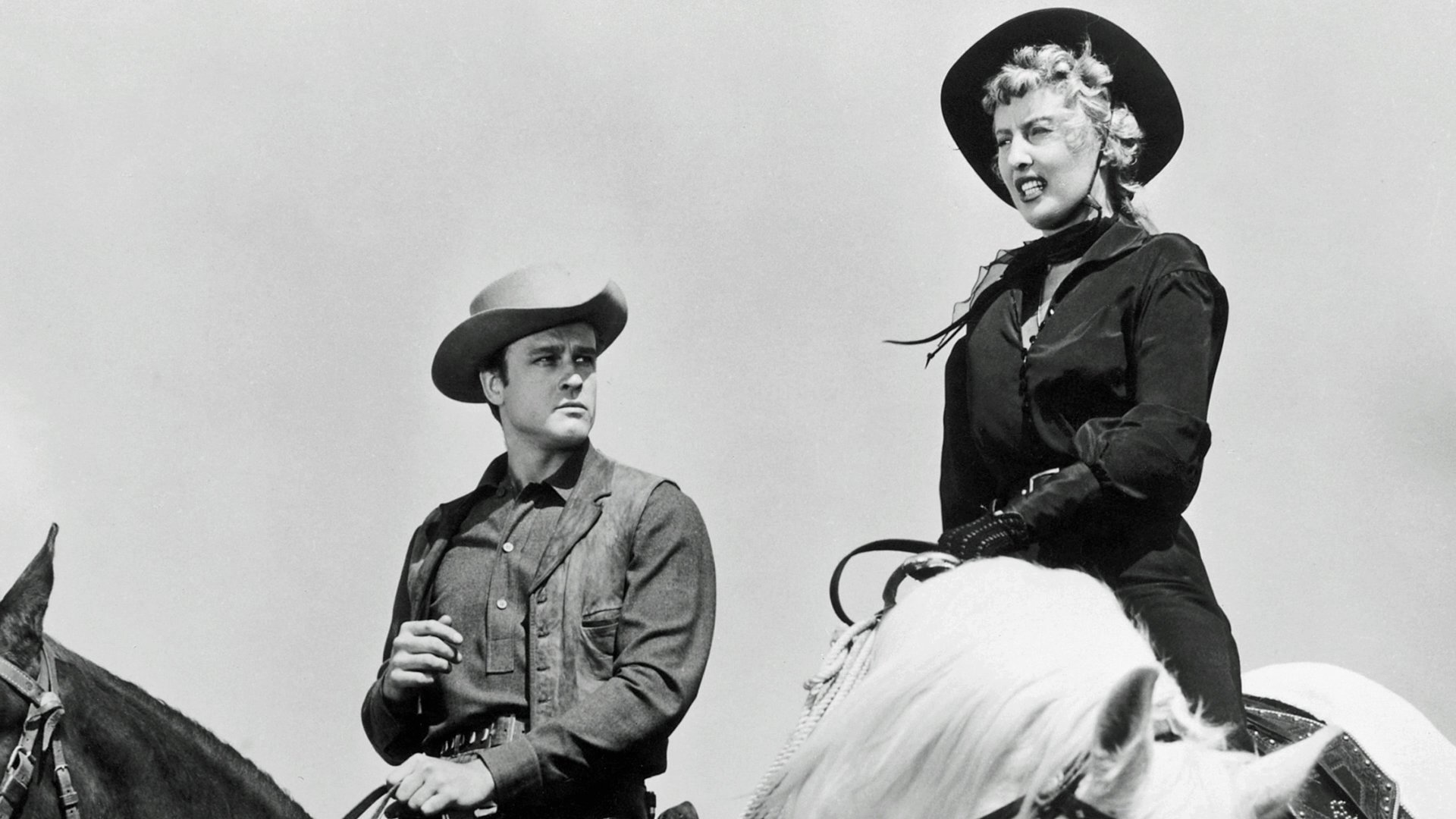 Forty Guns Background