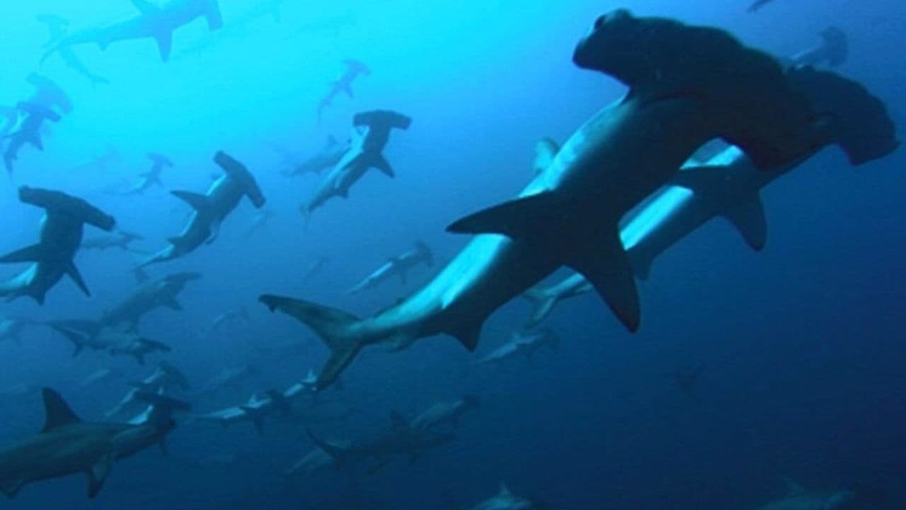 Deep Blue Background