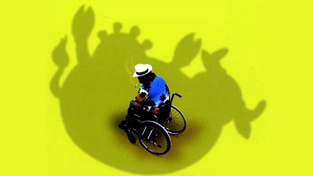 Piovono mucche Background