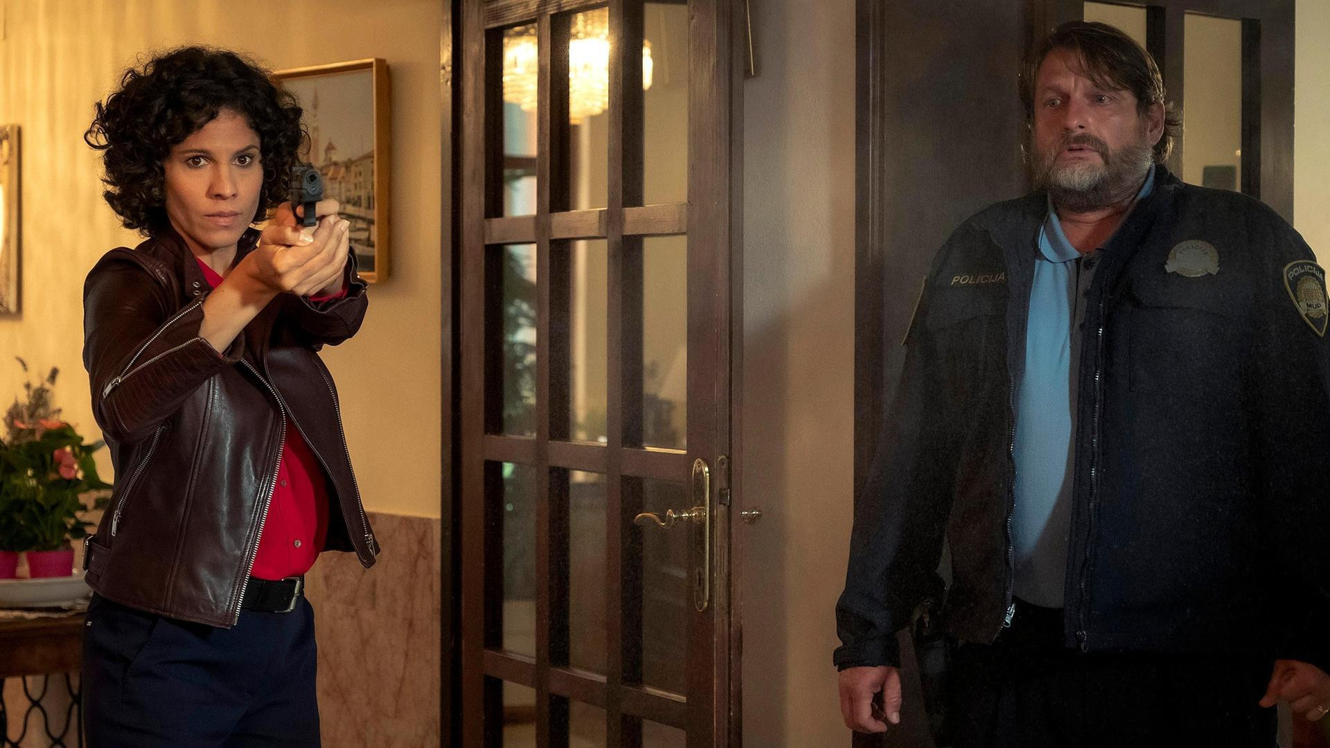 Der Kroatien-Krimi: Die Patin von Privonice Background