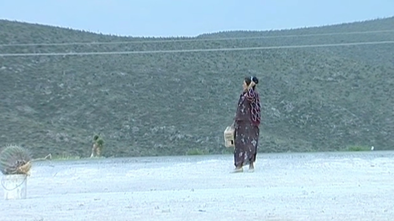 Tropico de cancer Background