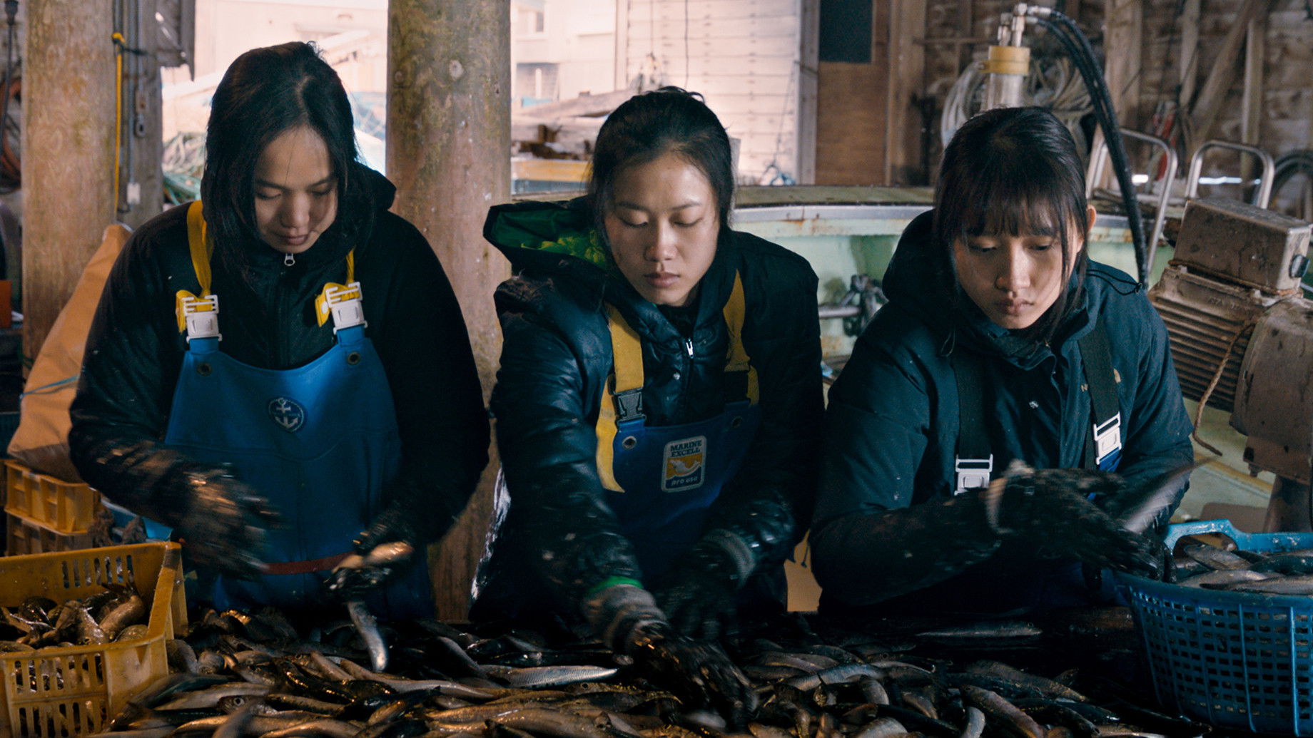 Along the Sea Background