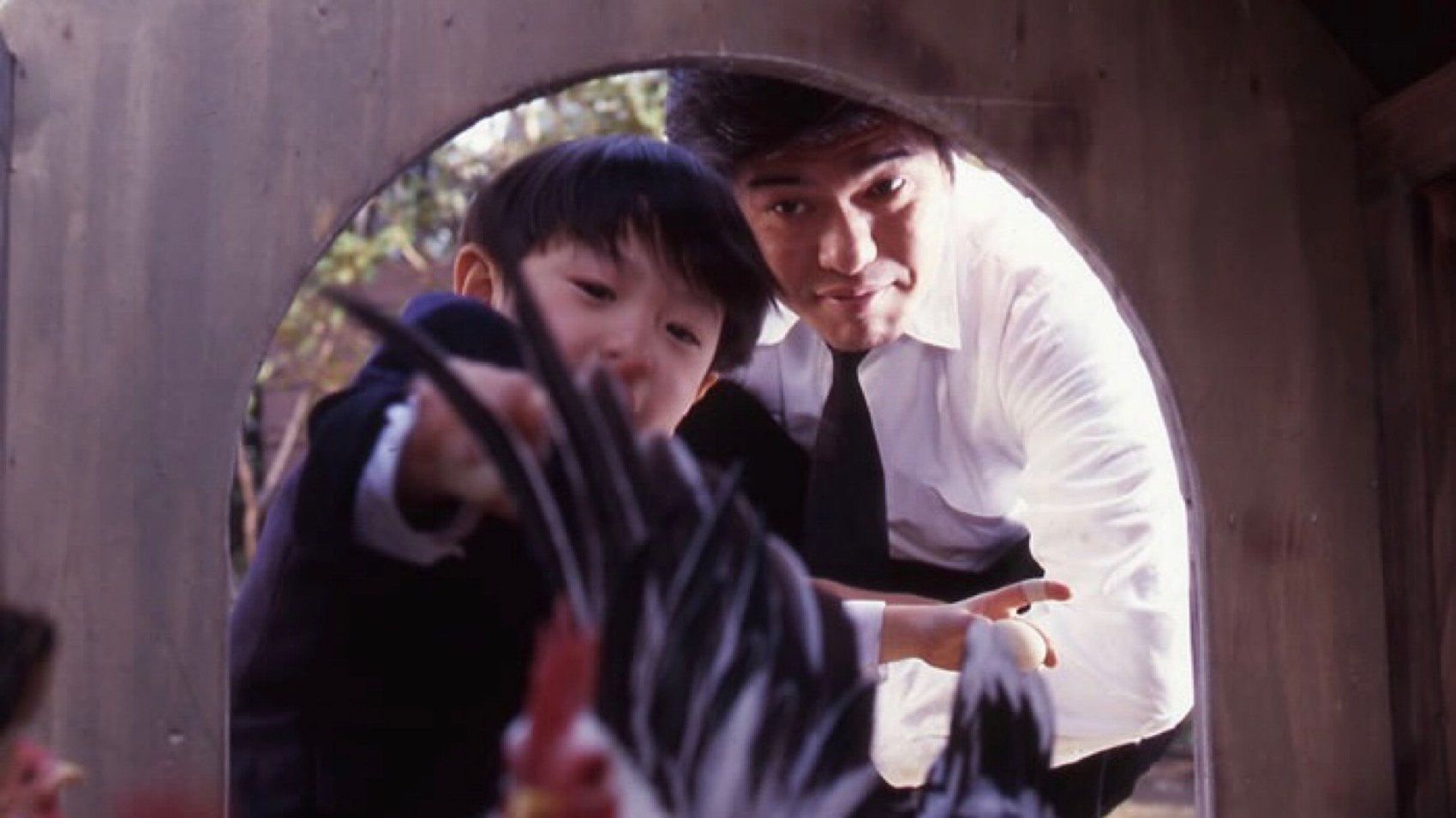 Wait and See Background