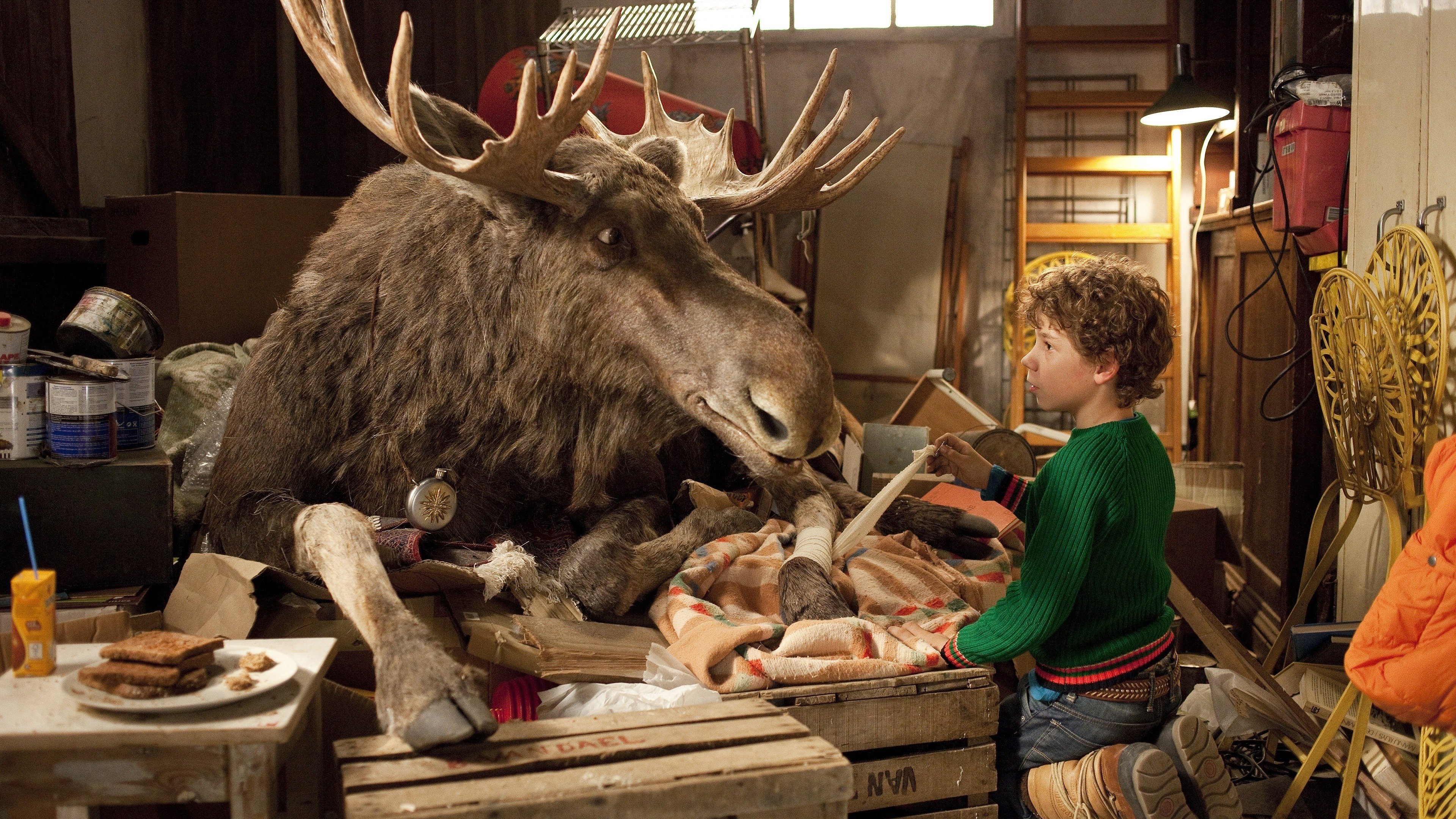 A Christmoose Story Background