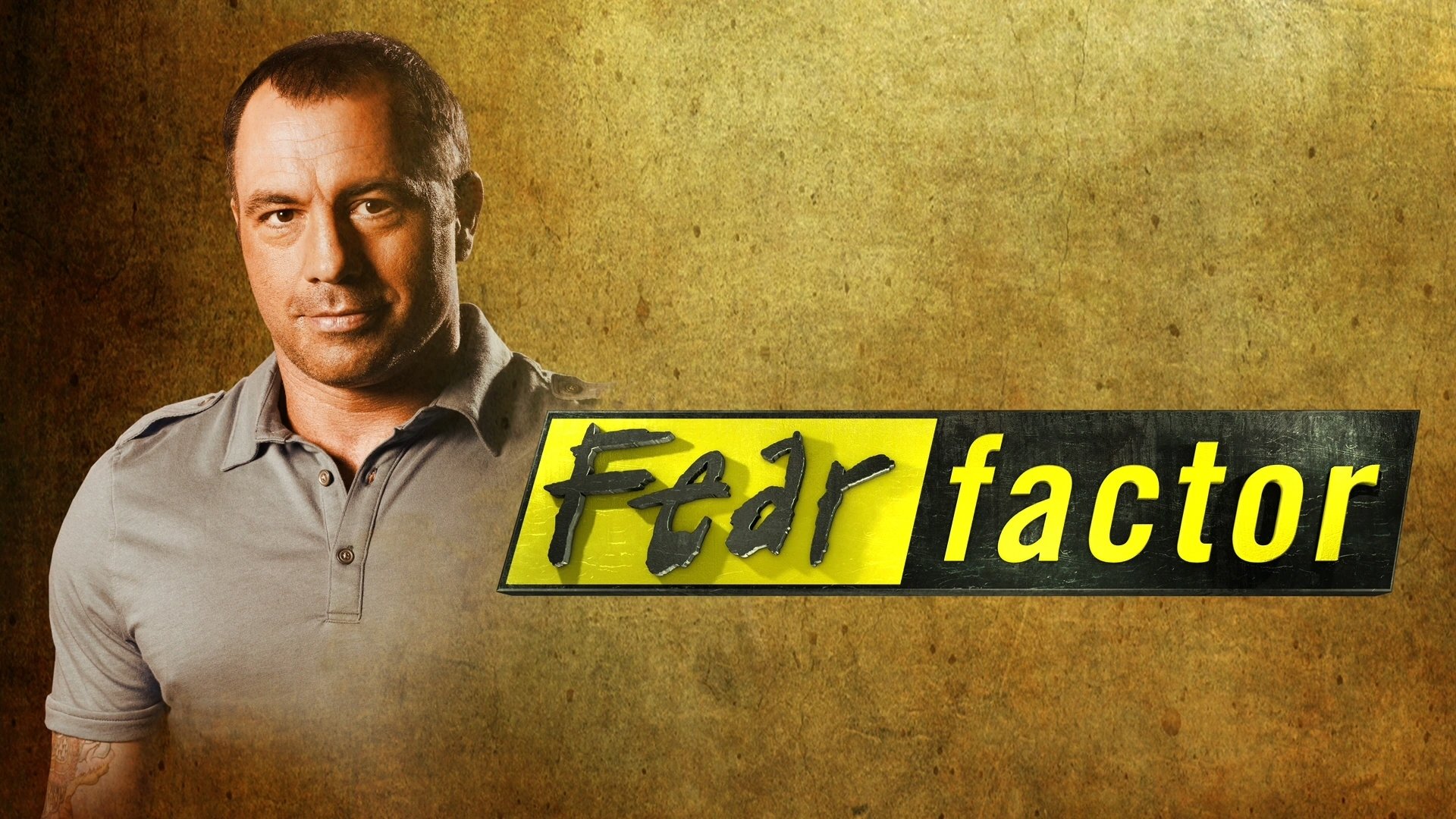 Fear Factor Background