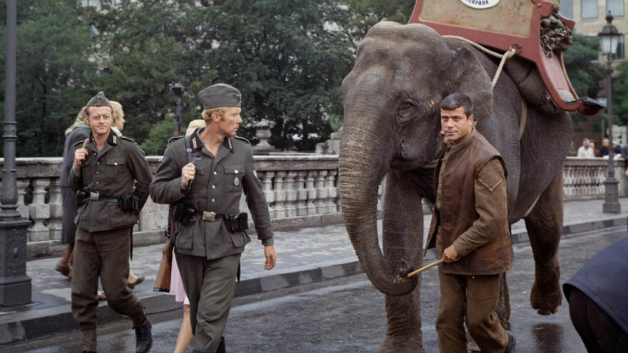 Hannibal Brooks Background