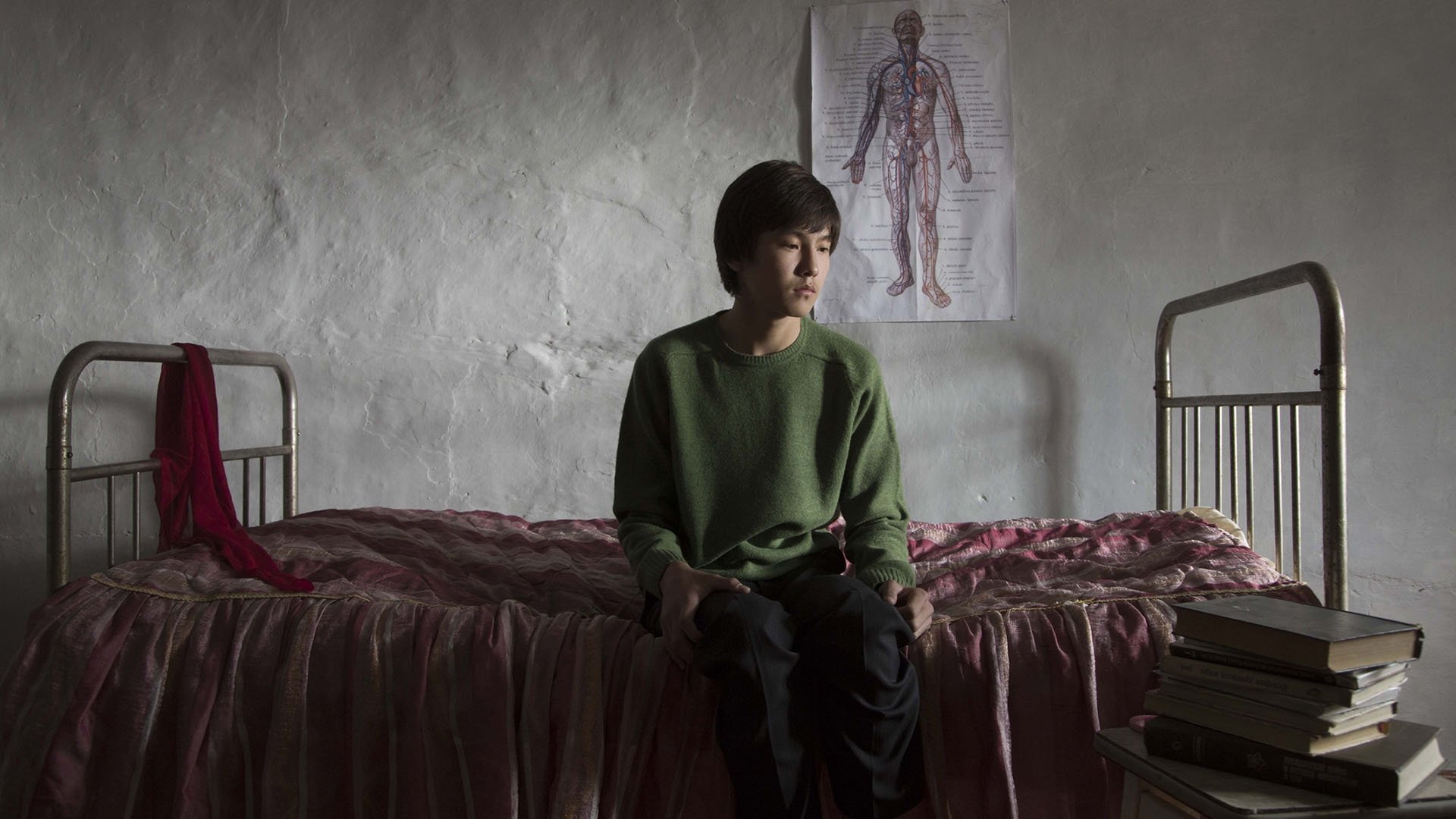 The Wounded Angel Background