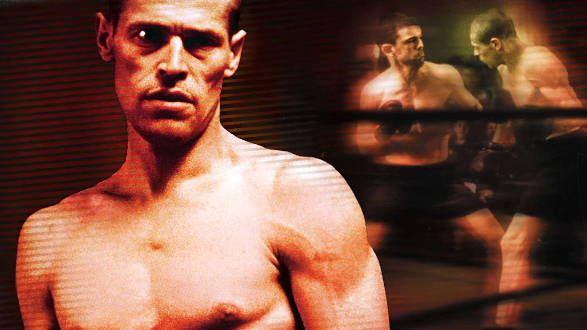 Triumph of the Spirit Background