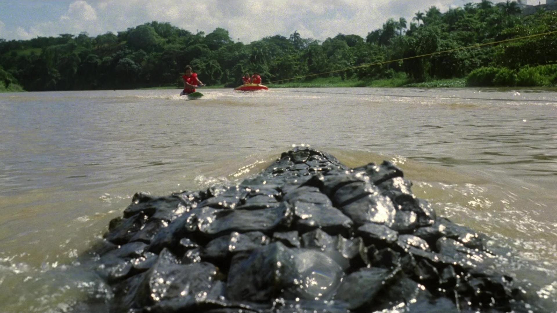 Killer Crocodile 2 Background