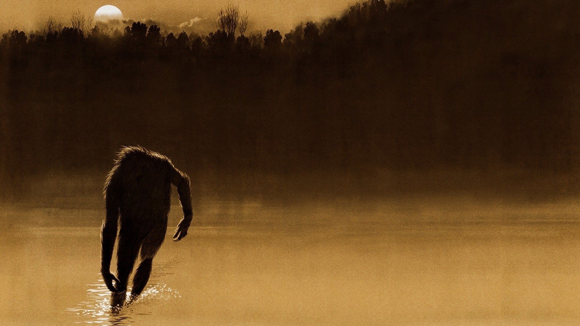 The Legend of Boggy Creek Background