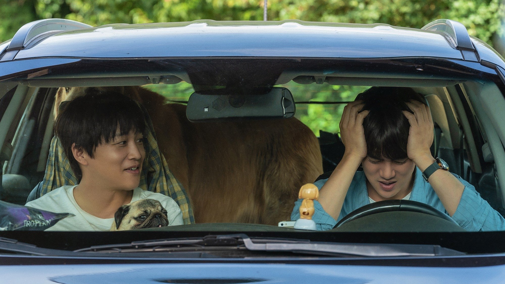 My Heart Puppy Background